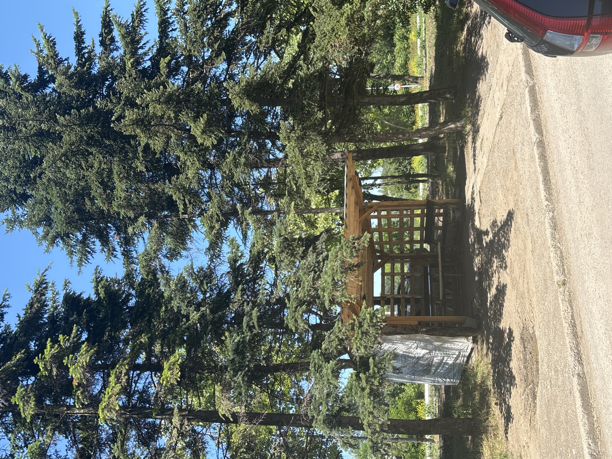 In an outdoor scene, a wooden gazebo with a slatted roof and sides is situated amongst tall evergreen trees. Inside the gazebo, picnic tables and benches are visible. To the left of the gazebo, a structure covered in white plastic sheeting is partially visible. The ground around the gazebo is a mix of dirt and gravel, with some patchy grass and small puddles. In the foreground, a portion of the rear of a dark-colored car is visible, with its taillight and rear window apparent. The background features more trees and vegetation, with a clear blue sky above.