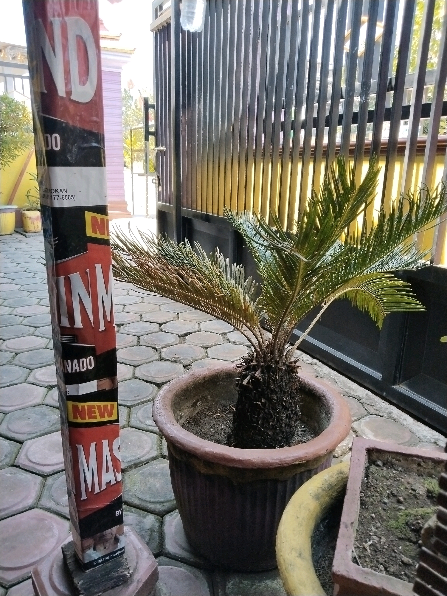 An outdoor, ground-level medium shot captures a decorative pole and a potted sago palm. The pole, located on the left, is wrapped in a red, black, and white advertisement with large white letters that read "ND" and "INM". Below these, smaller text includes "ADO" and "NEW MASC" and "BY". The pole has a rustic base and is positioned on a patterned stone patio. To the right of the pole, a sago palm sits in a dark brown, weathered ceramic pot. The palm has green fronds, some of which appear dry and brown. Behind the palm, a dark metal gate with vertical bars extends across the frame. The background shows a hint of a building with a yellow and white striped facade. The scene appears to be in an urban setting, possibly a yard or walkway in Bandung, Indonesia, suggested by the style of the patio and foliage.