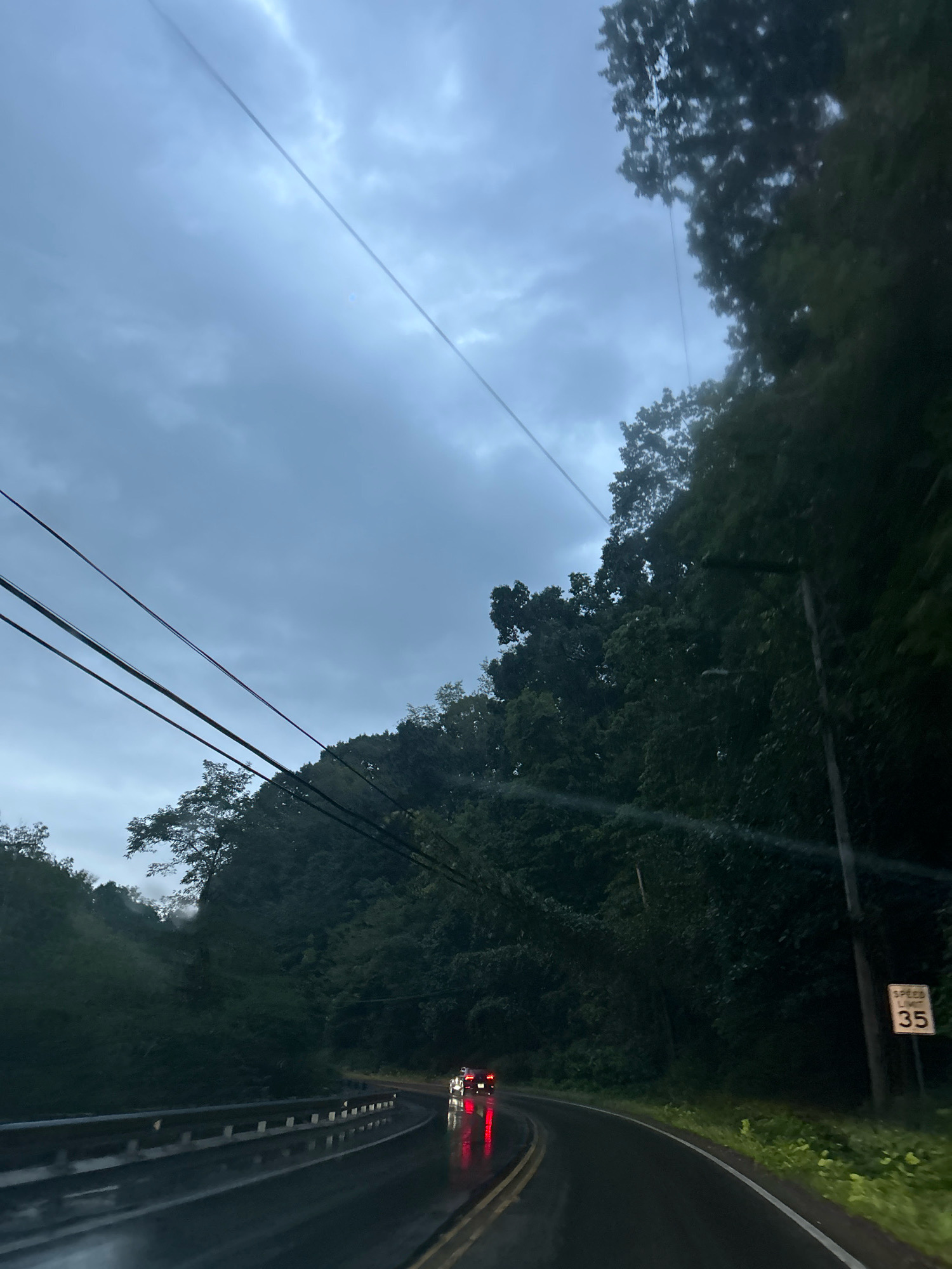 This image depicts a two-lane road curving through a heavily wooded area, likely during overcast or rainy conditions. The road surface is wet and reflects the red taillights of two cars visible in the distance. Overhead, several power lines stretch across the frame against a cloudy sky. On the right side of the road, a speed limit sign indicates "35". The surrounding environment is dominated by dense green foliage, suggesting a natural or park-like setting within the city of Pittsburgh, United States of America. There are no discernible people in the image.