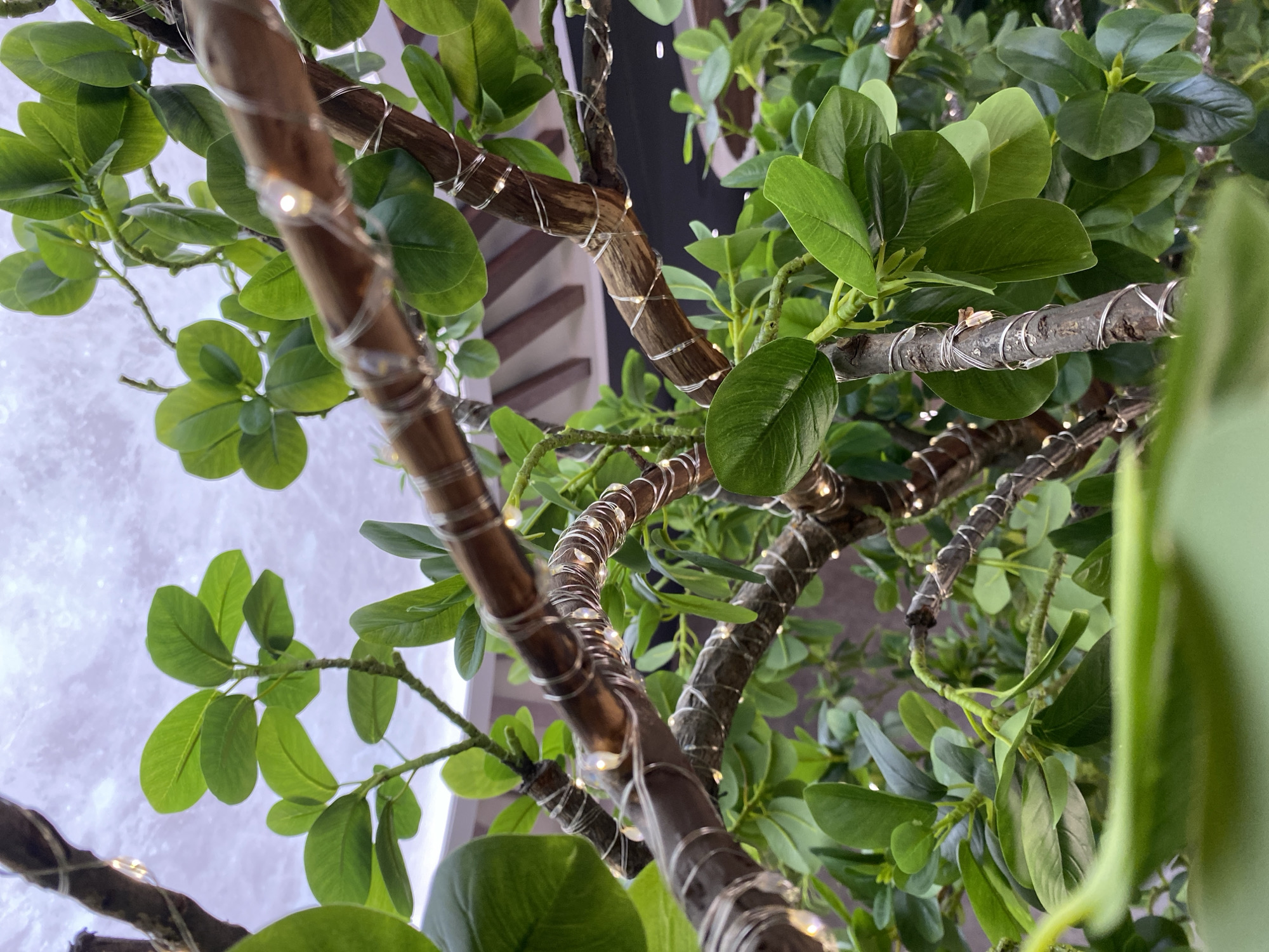 The image shows a close-up, upward angle view of a decorative tree with green leaves and brown branches. The branches are wrapped with thin, silver-colored string lights that appear to be illuminated. The background includes a white or light-colored wall and a hint of a dark-colored area above the tree. The image does not contain information to support the city of Votkinsk, Russia.