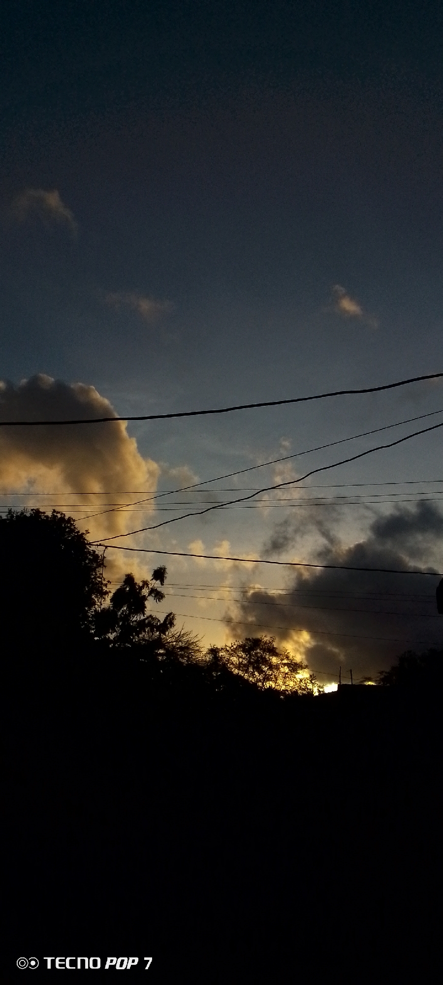 The image shows a silhouette of trees and power lines against a twilight sky. The sky is a deep blue with streaks of yellow and orange clouds, suggesting the sun is setting or has recently set. The trees are dark and appear to be in the foreground, with their branches forming a jagged line against the sky. Power lines crisscross the sky, adding a man-made element to the natural scene. The bottom of the image contains a watermark that reads "TECNO POP 7". The image is a photograph taken outdoors at dusk in Altagracia, Venezuela.