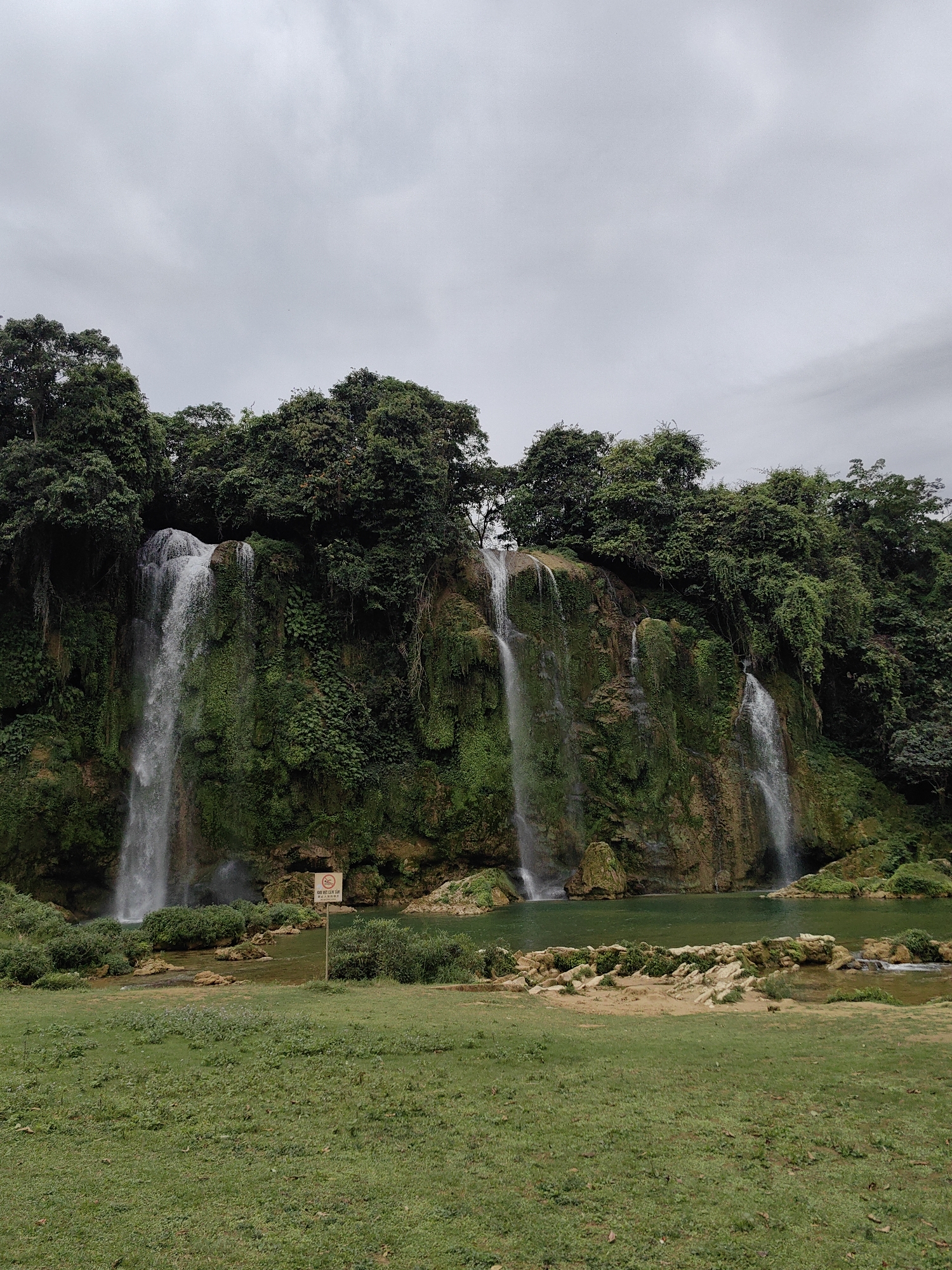 The image depicts Detian Waterfall in Daxin County, China. Five waterfalls cascade down a moss-covered cliff, surrounded by lush green trees. At the base of the falls, there is a pool of green water. A grassy area in the foreground leads up to the pool, with a sign visible near the water's edge. The sky is overcast and gray.