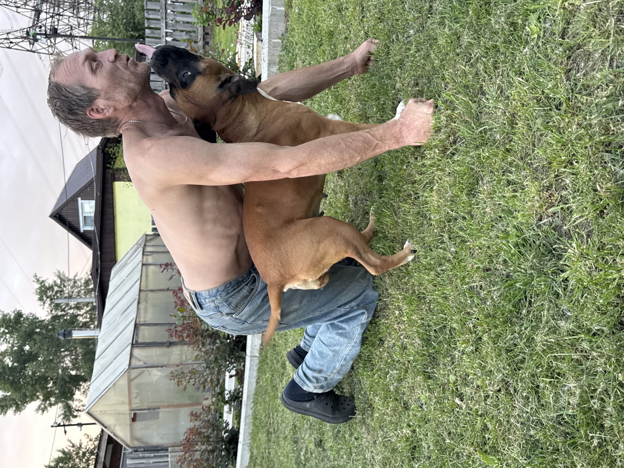 An adult male, shirtless and wearing blue jeans and black clogs, is on his knees in a grassy yard. He is interacting with a brown dog, which is standing over him. The man is leaning forward and appears to be licking or kissing the dog on the muzzle. The dog is looking up at the man with its tongue out. In the background, there is a greenhouse, a wooden fence, and trees. The scene appears to be in a suburban or rural setting, possibly in Chaikovsky, Russia, given the context. The lighting suggests it is daytime, possibly late afternoon or early evening.