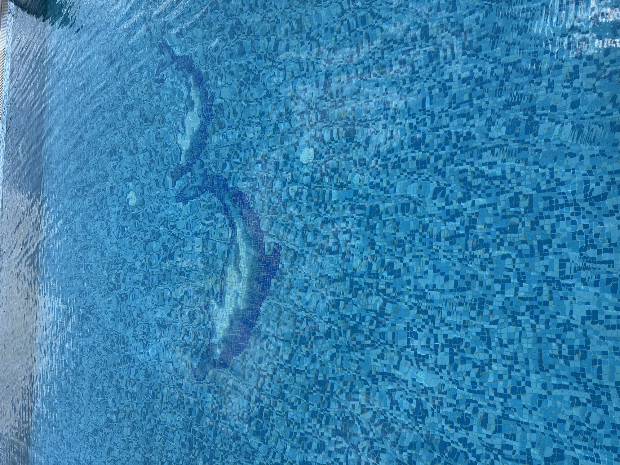 The image shows a close-up of the surface of a swimming pool. The water is a vibrant blue, with light reflecting off the surface, creating ripples and patterns. The pool is tiled with small, square tiles in varying shades of blue. There is a mosaic design embedded in the pool floor, which appears to be a silhouette of a fish or marine creature. The edges of the pool are visible at the top of the image, with a lighter colored surface. The scene is clean and well-maintained, suggesting an outdoor swimming area. There are no people or other objects visible in the frame, focusing solely on the water and its features. There is no information in the image to suggest this location is in Ekzarh Antimovo, Bulgaria.