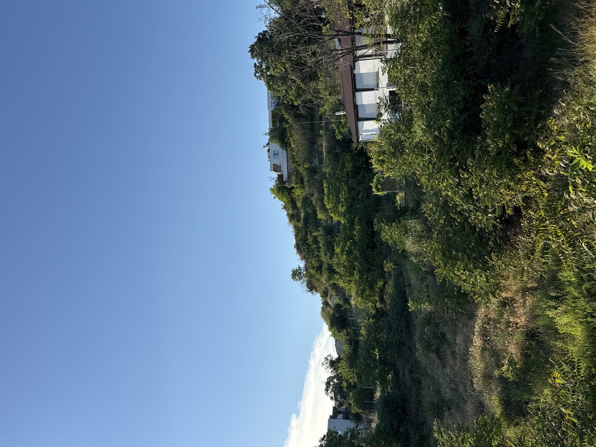 The image shows a sunlit hillside covered in dense green vegetation and trees under a clear blue sky. On the upper part of the hill, a modern white building with multiple rectangular windows and a flat roof is visible. Lower down on the hillside, a white house with a dark roof and dark window frames is partially obscured by foliage. The foreground consists of a grassy and bushy area. This scene is located in the Asparuhovo district of Varna, Bulgaria, near the Asparuhovo Bridge.