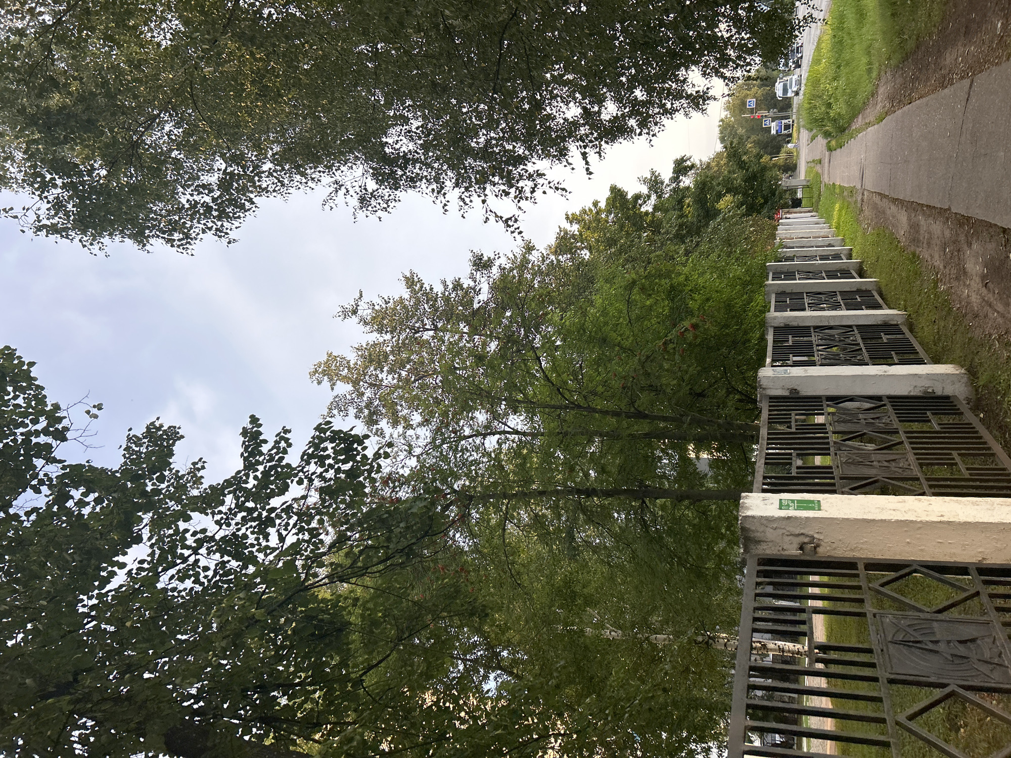 The image depicts a sidewalk next to a decorative metal fence with concrete posts, bordering a green area and trees. The fence is made of vertical bars with ornate diamond-shaped inserts. Behind the fence, a green lawn and dense trees are visible, some with reddish berries. The sidewalk runs alongside the fence, leading towards a street in the background where vehicles are driving and traffic lights are present. The sky is overcast with scattered clouds. The scene is likely located in the city of Chaikovsky, Russia, given the context of the surrounding environment and typical street infrastructure.