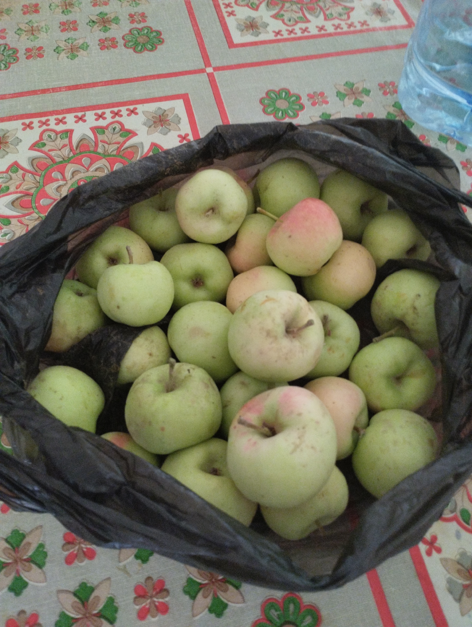 A pile of light green and pinkish apples is spilling out of a black plastic bag onto a table covered with a patterned tablecloth. The tablecloth has a cream-colored background with repeating floral motifs in shades of pink, red, green, and brown. Some of the apples have small brown spots on their skin. In the upper right corner of the image, a portion of a clear plastic bottle filled with a light blue liquid is visible. The scene appears to be an indoor setting, possibly a home kitchen or market stall, in Yangibazar, Uzbekistan.