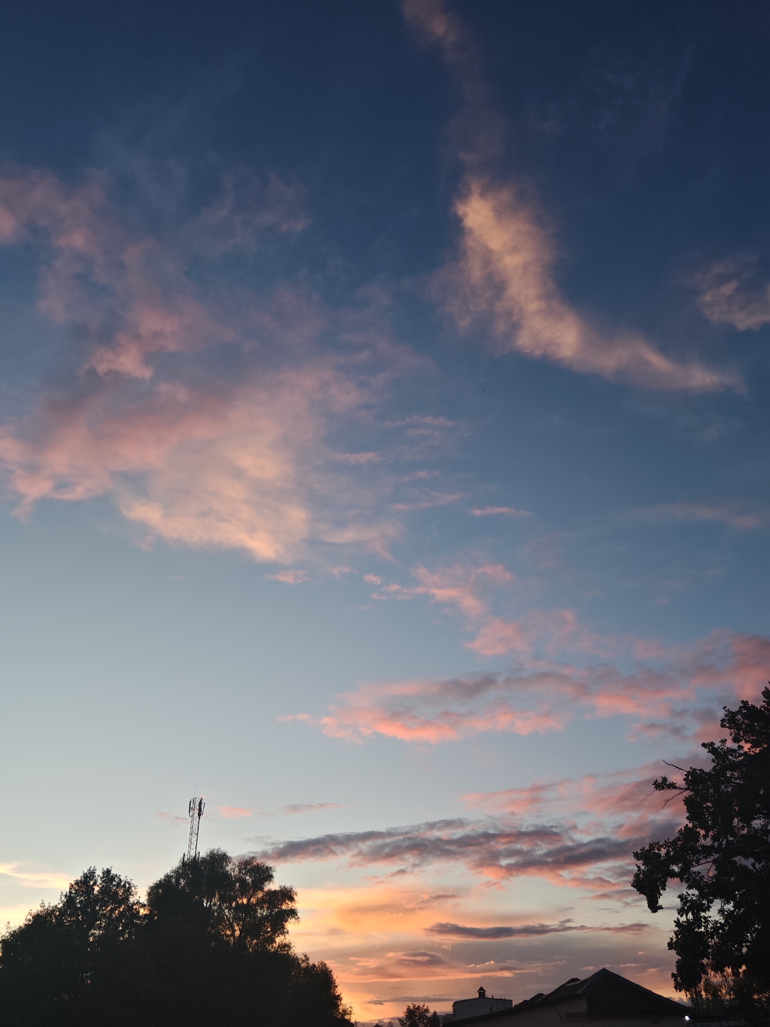 The image captures a dusky sky over Homyel, Belarus. Wispy clouds, tinged with pink and orange from the setting sun, are scattered across a gradient of deep blue to pale blue. Silhouetted against the sky are the dark shapes of trees, a cellular tower, and the roofs of buildings. The overall scene suggests a peaceful evening in a semi-urban or suburban setting. There are no people or active events depicted.