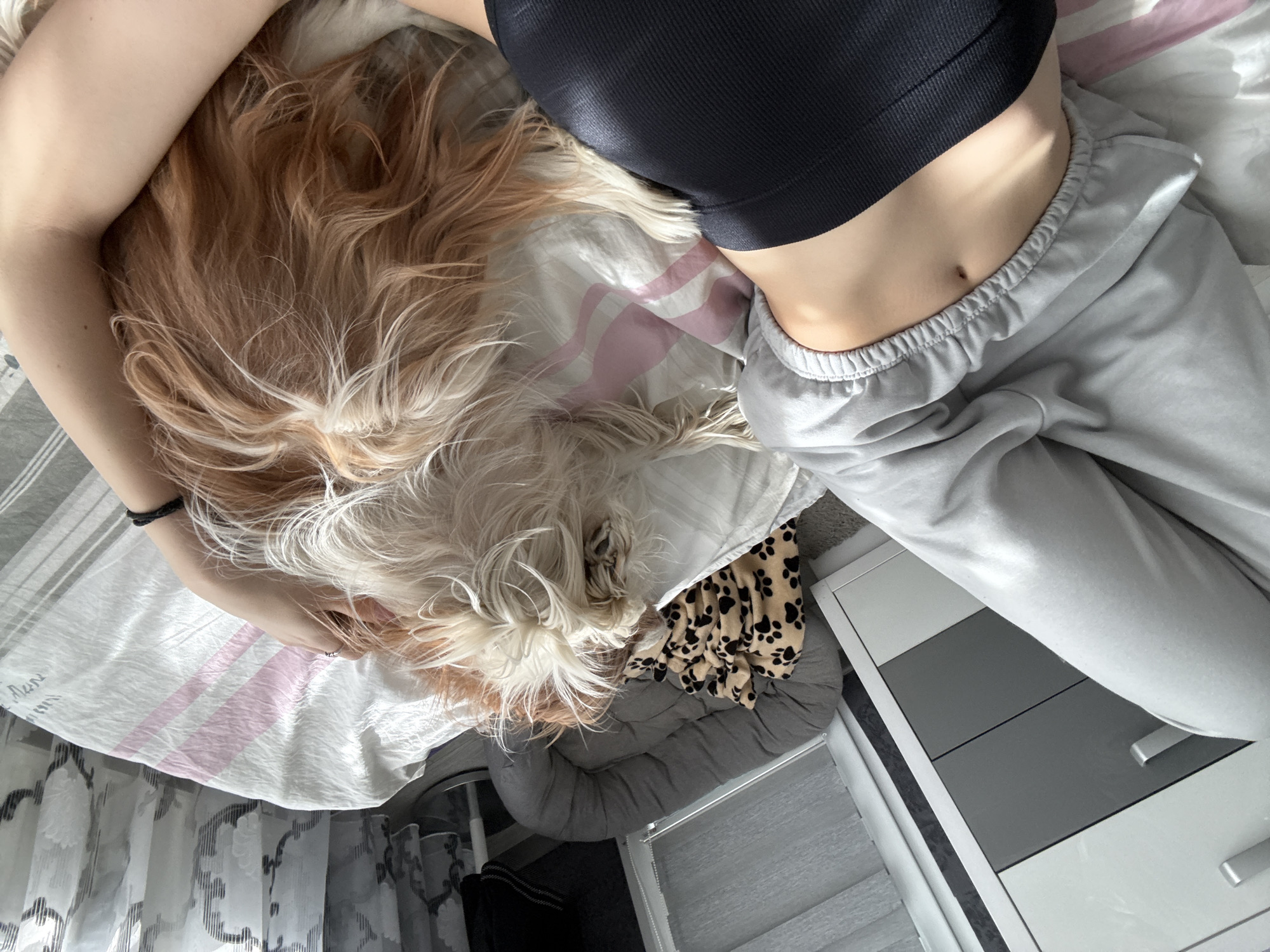 A person is lying on a bed alongside a dog. The person is wearing a black crop top and gray sweatpants. The dog is long-haired, with a mix of brown and white fur. The bed has a white and pink striped sheet. The scene is indoors, with a gray dog bed, a spotted blanket, and a white and gray dresser visible near the bed. There is no indication of the location being in Sofia, Bulgaria.