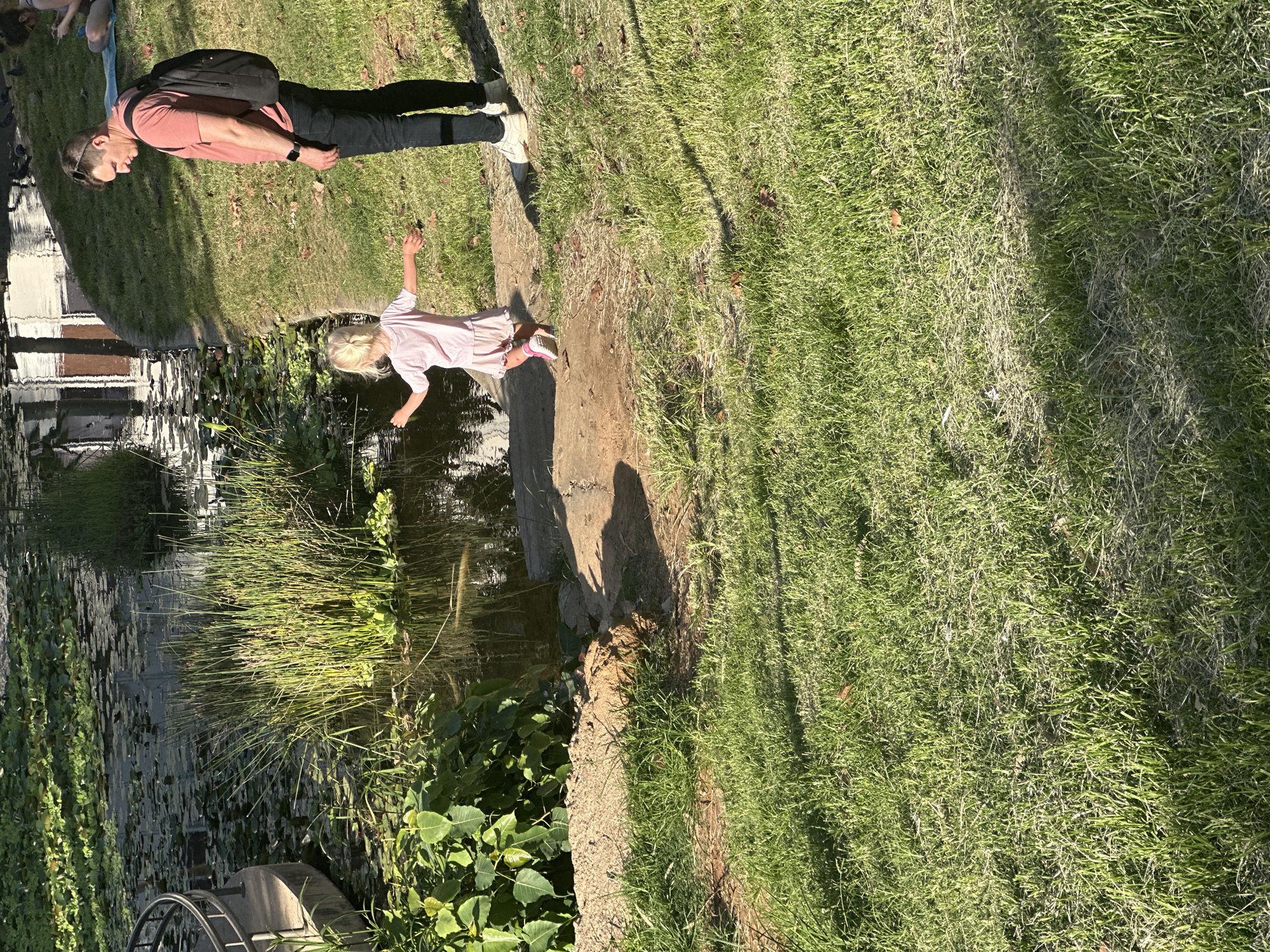 An adult male wearing a pink t-shirt, black pants, and a black backpack stands on a grassy embankment next to a pond. A young child in a light pink dress is facing away from the viewer, reaching towards the water. The pond contains lily pads and tall reeds. The scene appears to be in an outdoor park setting, likely in Tel Aviv, Israel, given the natural light and vegetation consistent with the region.