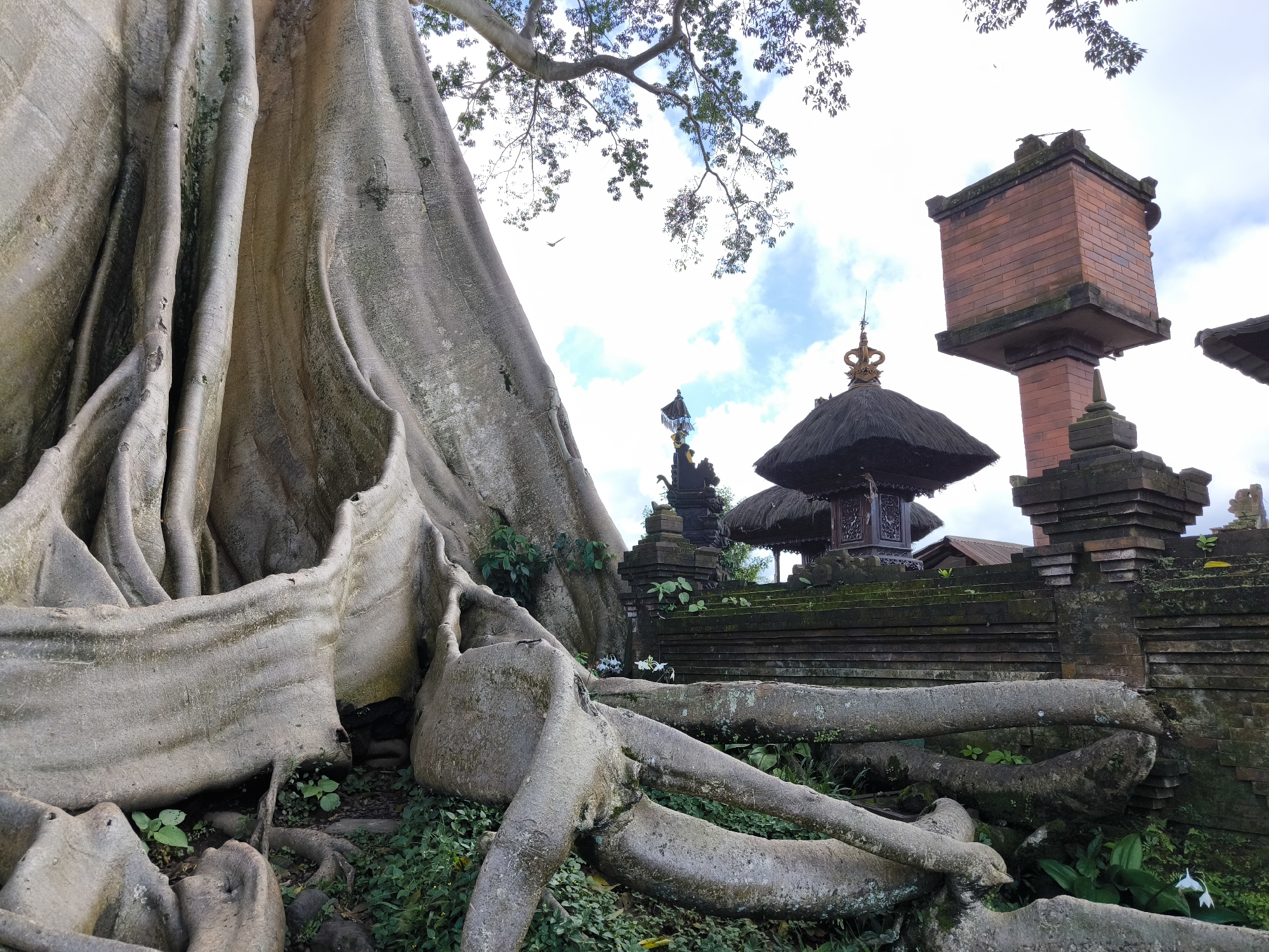 The image shows a large tree with prominent buttress roots alongside a section of brick and stone structures, likely part of a temple or cultural site. The structures feature traditional Balinese architectural elements, including tiered roofs and decorative details. The setting is in Tua, Indonesia. The sky is partly cloudy, suggesting an outdoor location. There is no people visible. The image captures the integration of natural elements, such as the tree, within the built environment of the cultural site.