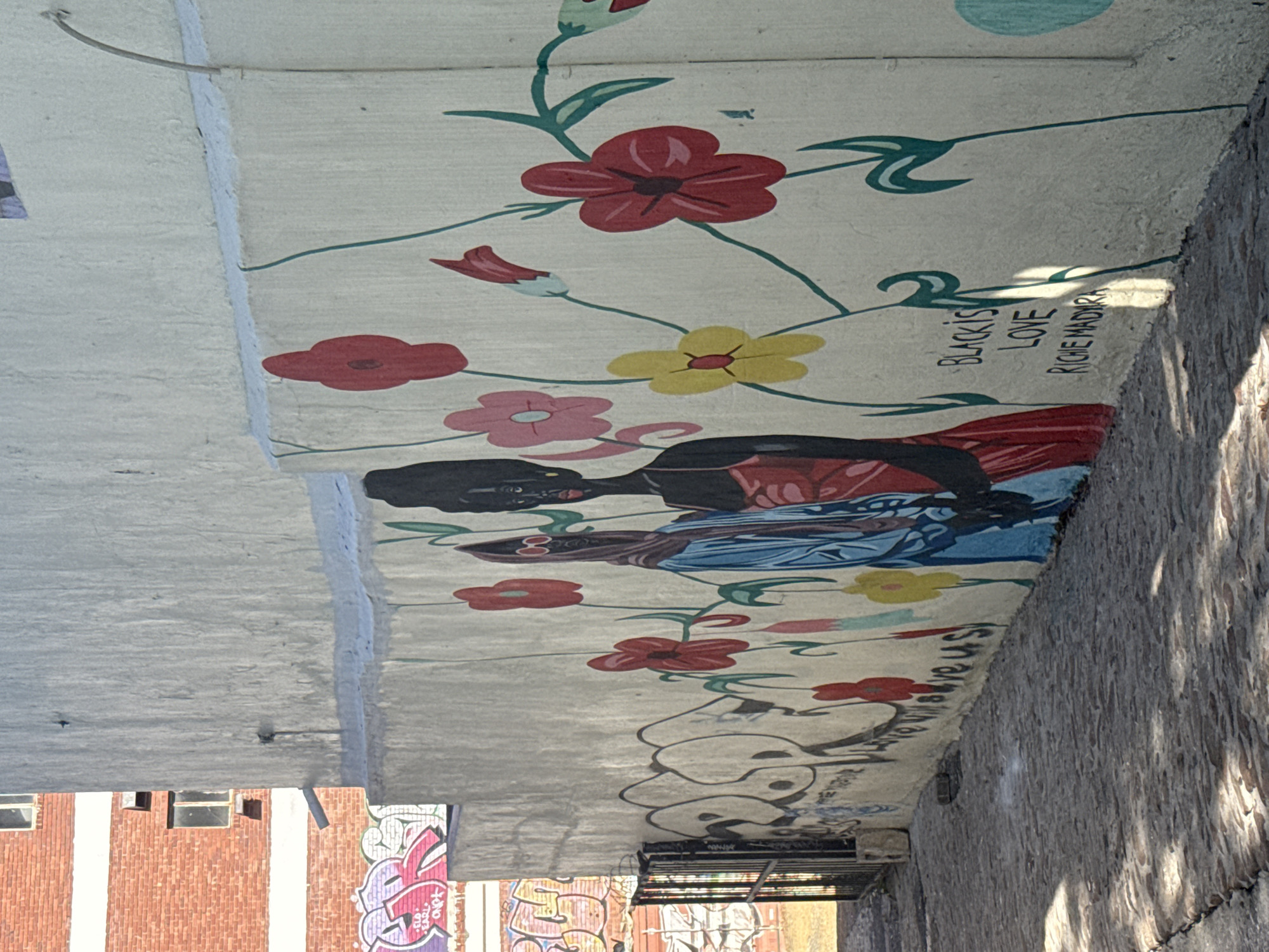An outdoor scene in Bo-Kaap, Cape Town, South Africa, depicts a brightly lit narrow alleyway with a prominent mural on a multi-tiered, off-white wall on the right. The mural features two Black women, depicted waist-up, holding hands. The woman on the left wears a light blue garment with a head covering and reddish-pink round sunglasses. The woman on the right has dark skin, prominent gold hoop earrings, a voluminous dark hairstyle, and wears a red strapless dress or top. Both figures are surrounded by stylized red, pink, yellow, and teal flowers with green stems. To the right of the figures, the text "BLACK is LOVE" is written vertically, followed by "RICHIE MADURA" below it.
To the left, a light grey wall is heavily covered in graffiti, including large bubble letters in pink and purple. Beyond this, a red brick building with white horizontal stripes and multiple rectangular windows, some appearing broken, is visible. A black metal gate is partially open in the mid-ground left, revealing a dark passage beyond. The ground is paved with uneven cobblestones, exhibiting scattered light and shadow patterns from an unseen overhead source and shadows cast by the mural's figures and the wall itself. A small concrete block rests on the cobblestones near the bottom of the gate. The overall environment appears urban and artistic, under direct sunlight.