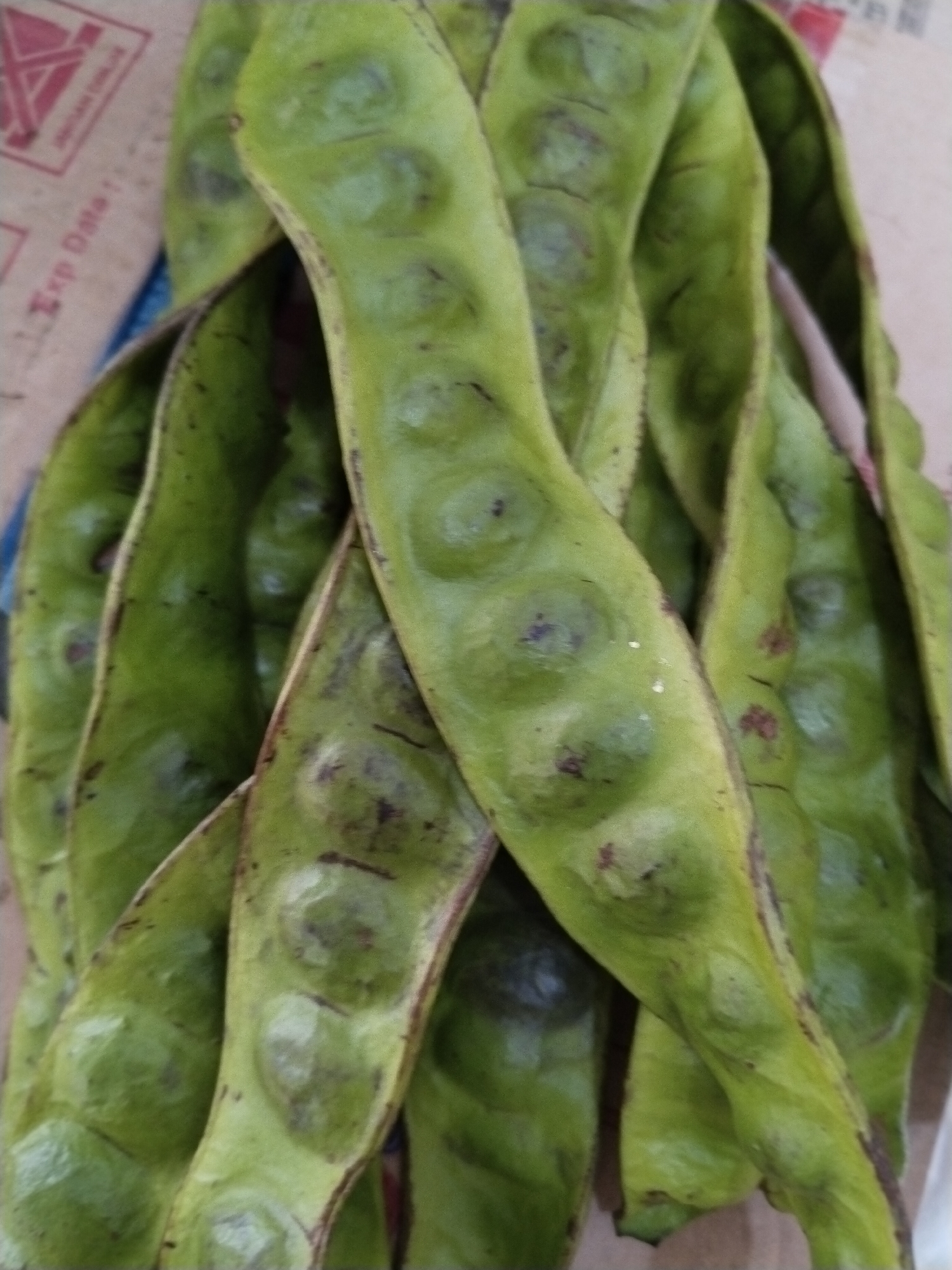 The image shows a close-up, top-down view of a pile of green, elongated seed pods, commonly known as stink beans or petai. The pods are curved and bumpy, with visible seeds forming bulges along their length. The surface of the pods is a vibrant green with some darker, purplish-brown markings and occasional small dark spots. The pods are clustered together, obscuring much of the background, but a portion of a cardboard box with some text is visible in the upper left corner. The text on the box is partially obscured but appears to include "Exp Date". The overall lighting is soft, and the focus is sharp on the pods. The image does not contain any information that would allow for the identification of a specific location within Sawit Seberang, Indonesia, as it focuses solely on the produce.