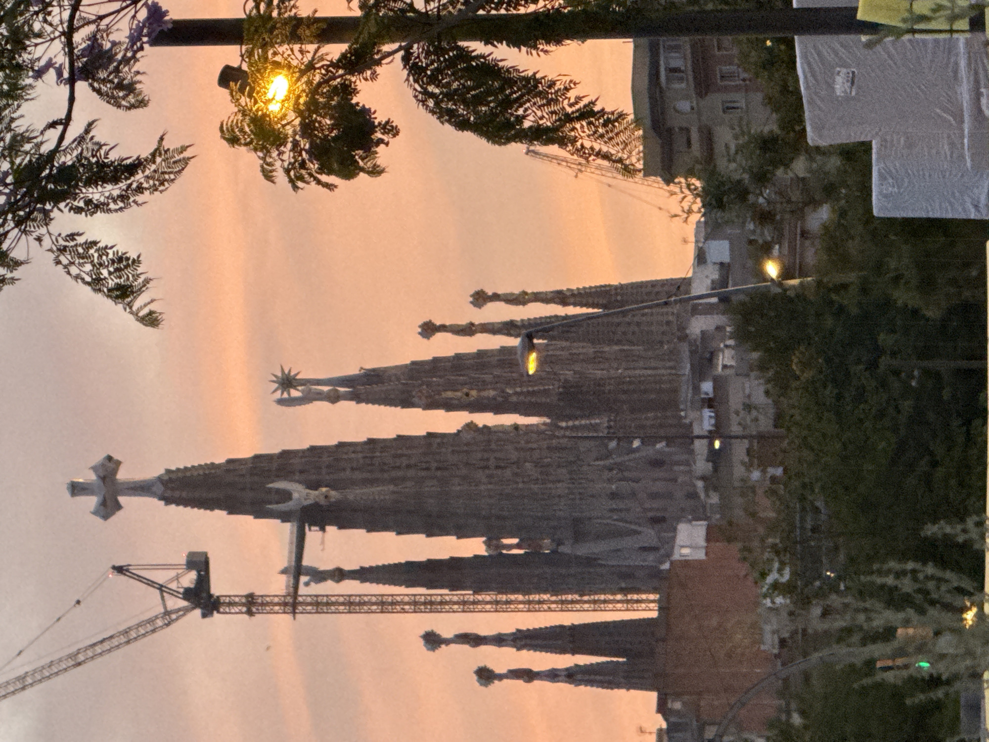 The image depicts the Basílica i Temple Expiatori de la Sagrada Família in Barcelona, Spain, at either sunrise or sunset. The sky displays a gradient of soft orange and pink hues.
In the middle ground, the Sagrada Família basilica dominates the scene, characterized by its distinctive, intricate spires. The central spire, currently under construction, is topped with a large cross. Another prominent spire to the right features a star. Multiple other spires, varying in height and detail, are visible across the basilica's façade. Construction activity is evident, with at least two large tower cranes positioned around and above the basilica. One tall lattice boom crane is prominently located to the left of the central cross-topped spire, and another appears further to the right.
The foreground and lower mid-ground feature dense green foliage from trees, partially obscuring the lower portions of the basilica and other urban structures. Several streetlights are illuminated, casting a bright yellow-orange light. One streetlight is visible in the upper right, partially hidden by leaves. Another is to the left of the basilica, and a third is in the lower mid-ground, also partially obscured by foliage.
Other buildings of varying heights are visible in the mid-ground, blending into the urban landscape surrounding the basilica. In the far lower right foreground, multiple large, rectangular objects are covered in white protective sheeting or tarps. A yellow object is partially visible next to them. No people are discernible in the image.