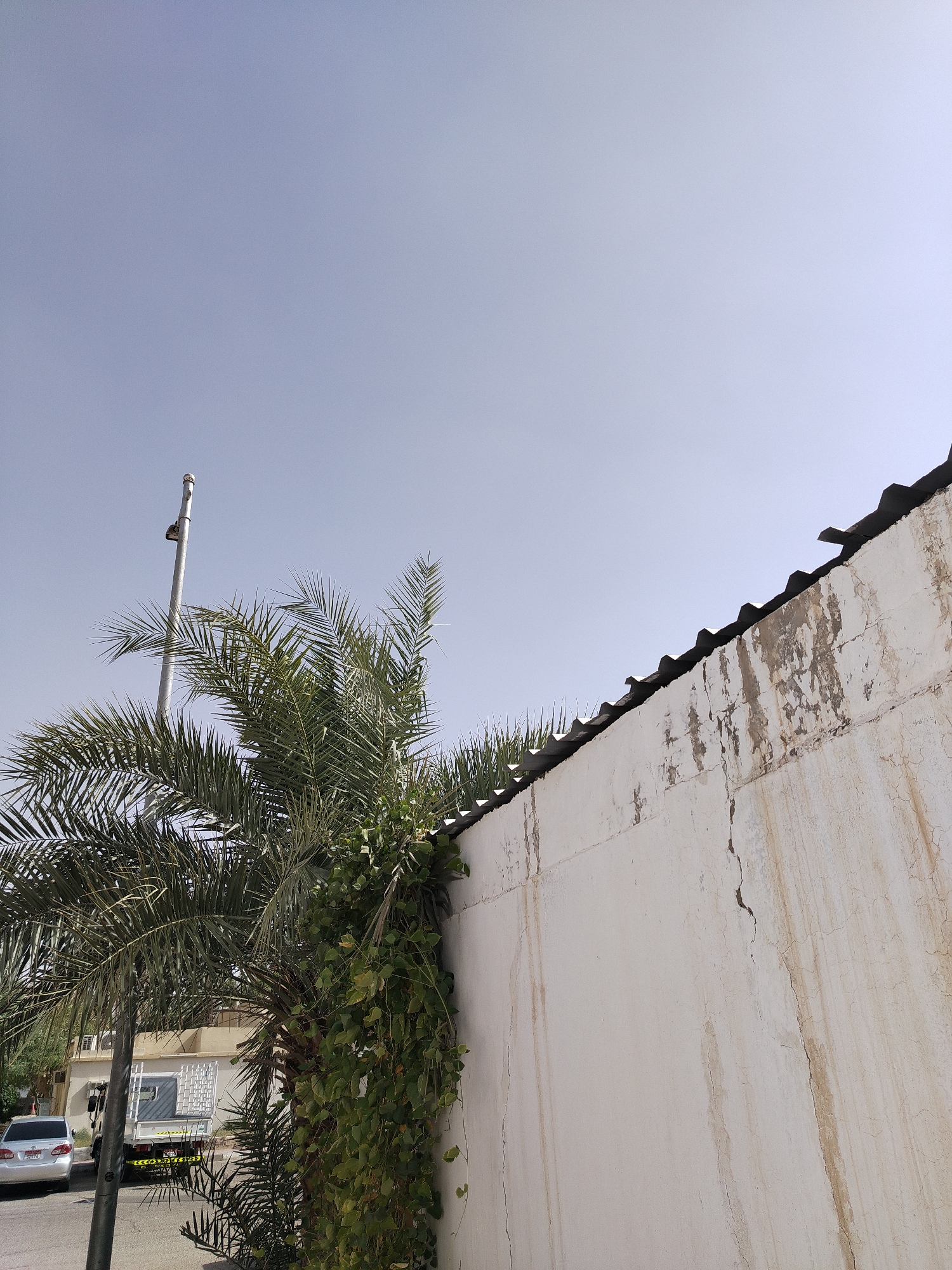 The image depicts a partially obscured view of a white, weathered wall in Al Mas'oudi, United Arab Emirates. The wall shows signs of age with cracks and discoloration. A palm tree with additional green vegetation growing around its base partially covers the wall. A light pole is situated in front of the tree. In the background, a street with a parked car and a truck can be seen. The sky is clear and blue.