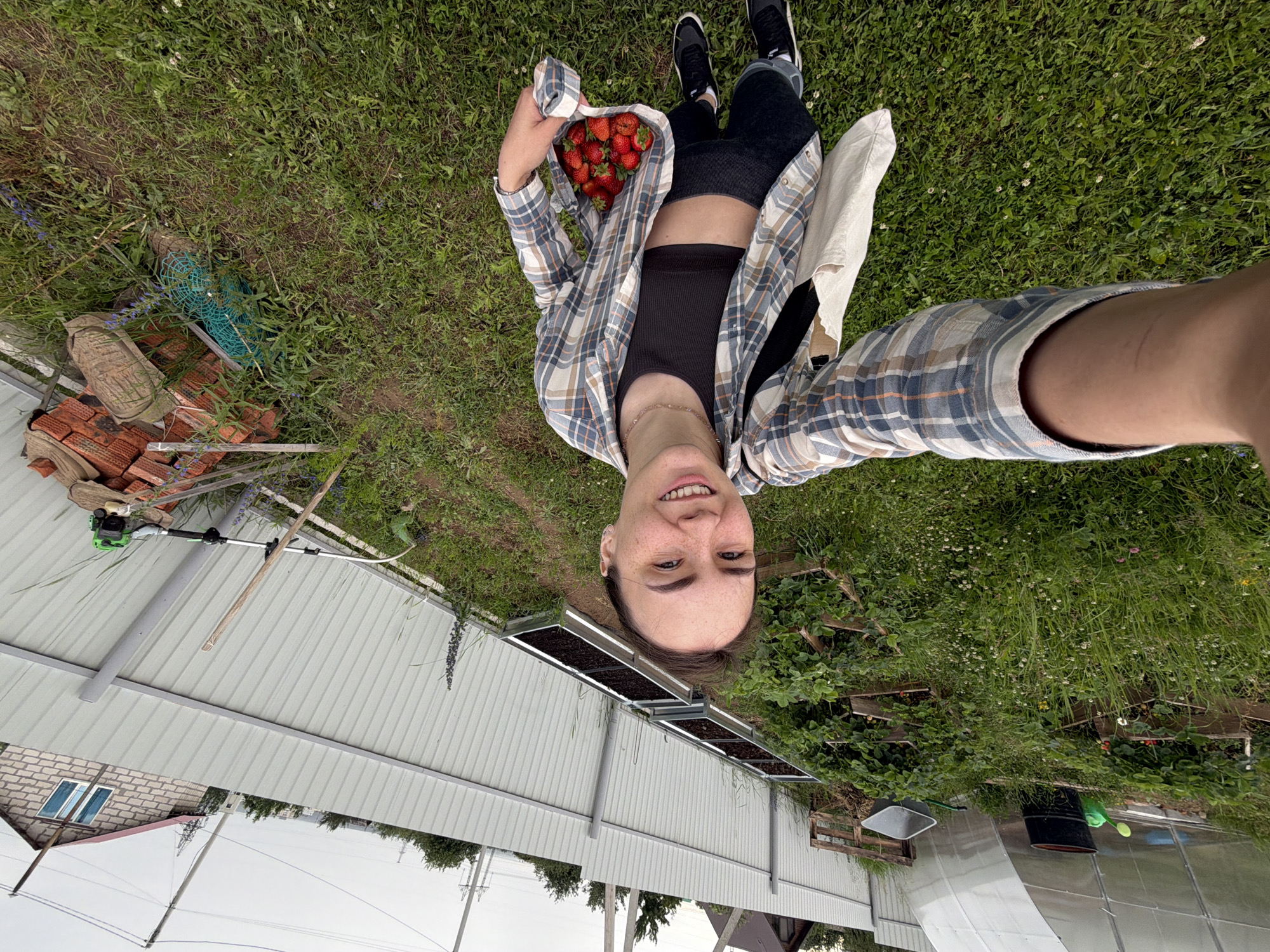 In the city of Chaikovsky, Russia, a young woman is taking a selfie outdoors in a garden area. She is wearing a plaid shirt over a dark crop top and dark leggings, with sneakers. She is holding a white tote bag containing a pile of fresh strawberries. The background shows a greenhouse on the left, raised garden beds with plants, and a white metal fence. Various gardening tools and materials, including a wheelbarrow, a watering can, bricks, and a brush cutter, are visible in the yard. A residential building with a red roof and blue-tinted windows is visible beyond the fence. The ground is covered with grass and some wildflowers. The sky is overcast.