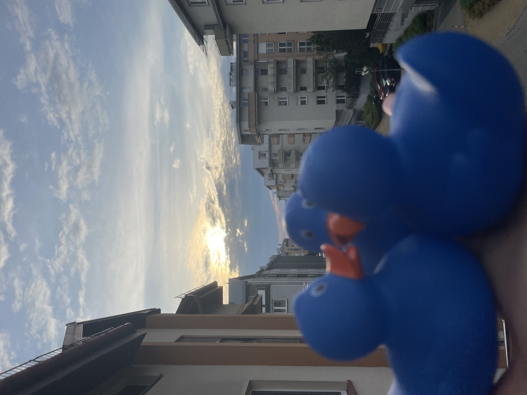 Three blue rubber ducks are positioned in the foreground of the image, obscuring the view of a cityscape and a cloudy sky with the sun partially visible. The ducks are out of focus, with their blue bodies and orange beaks dominating the lower portion of the frame. In the background, apartment buildings line a street, with trees and parked cars visible. The sky is a mix of blue and white clouds, with streaks of light suggesting either sunrise or sunset. The overall impression is a playful and whimsical scene set against an urban backdrop.