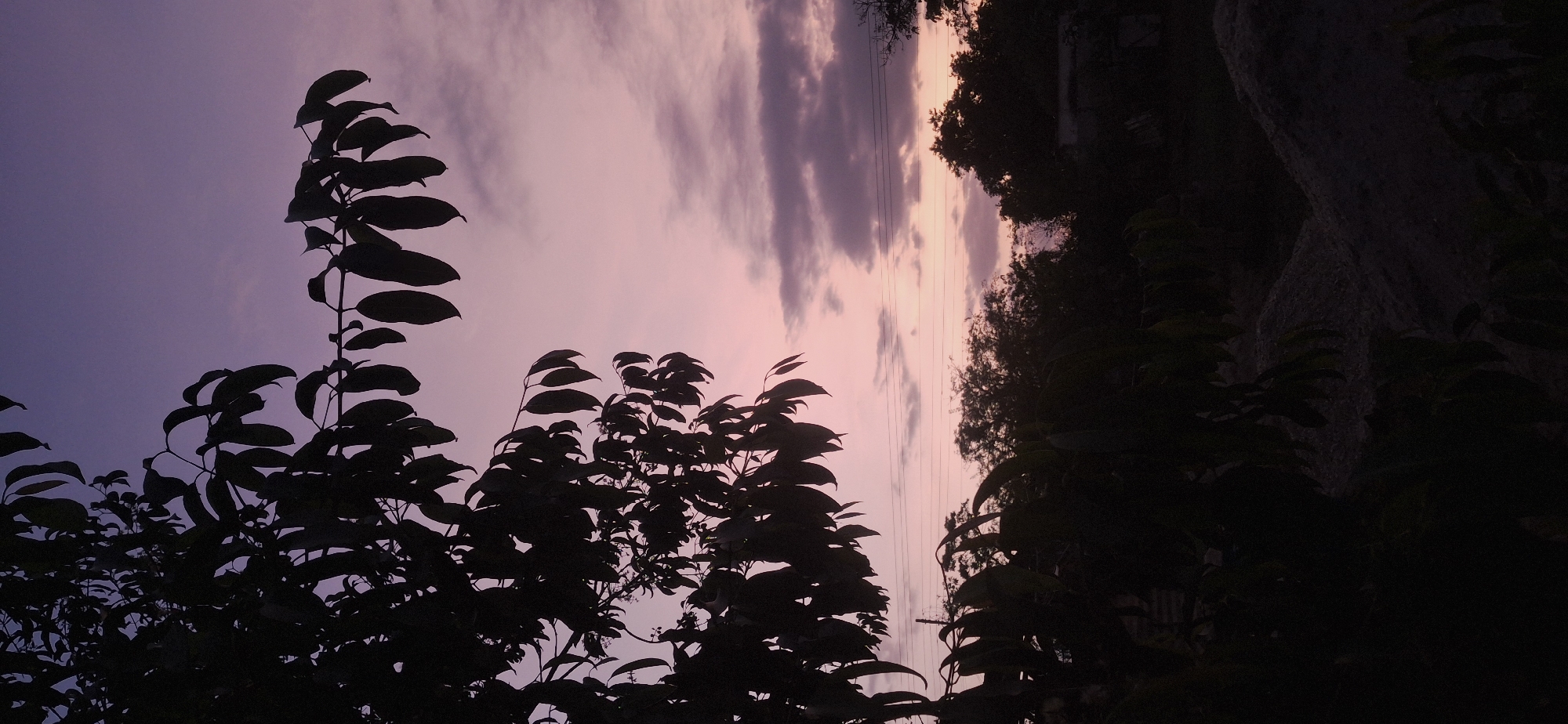 The image depicts a twilight or pre-dawn scene in Vallecito, Venezuela. Dark, silhouetted foliage dominates the foreground. A pale pink and lavender sky with striated clouds forms the backdrop. Power lines stretch across the sky above the foliage. In the upper right corner, more dense, dark shapes suggest a hillside or rocky outcrop. There are no visible people or distinct actions.