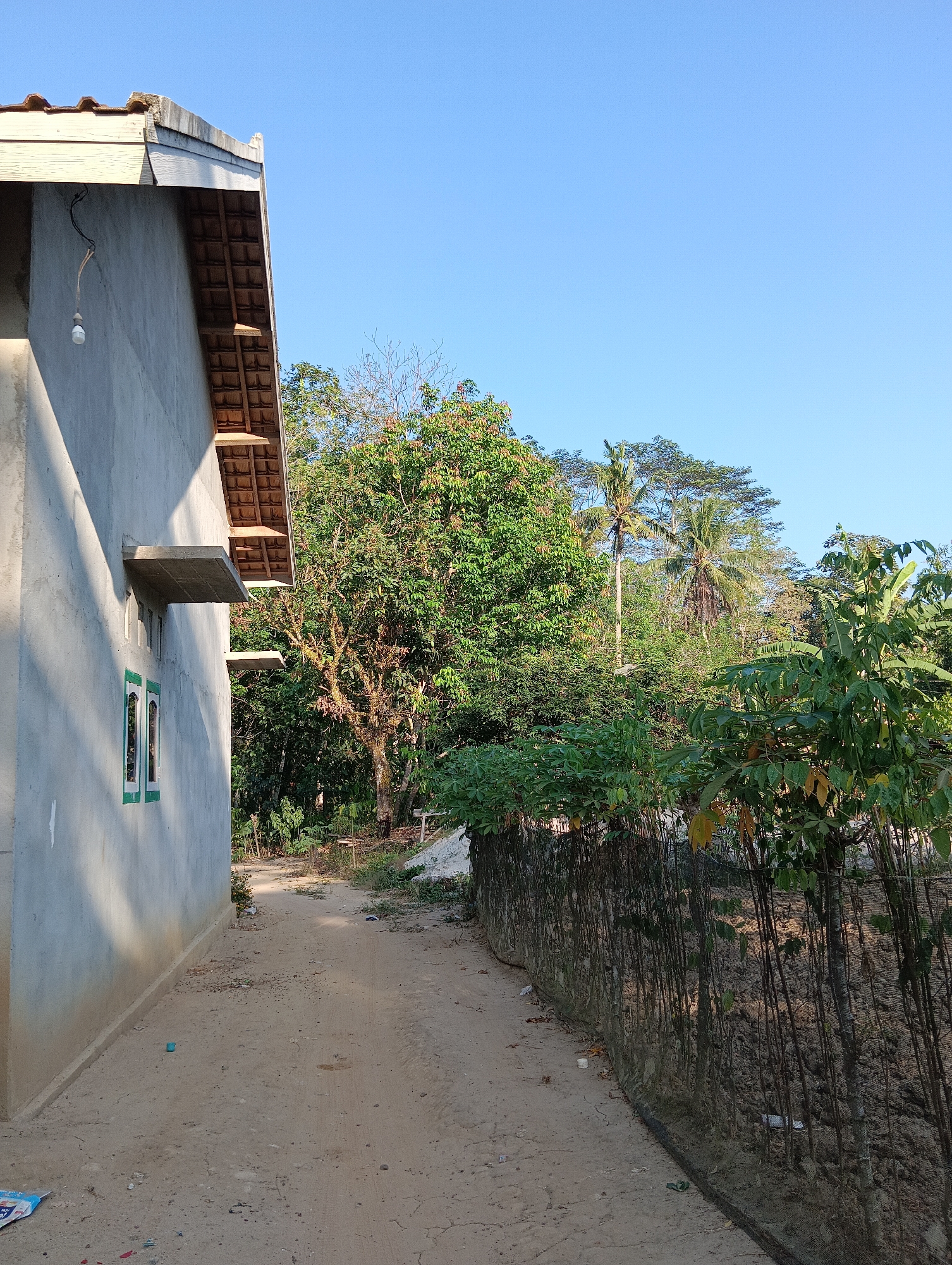 A dirt path runs alongside a concrete building under construction and a dense line of trees and vegetation. The building, unfinished and gray, has a roof with visible wooden beams and tile. Two windows with green trim are visible on the side of the building facing the path. The path itself is dusty and uneven, with some scattered debris. To the right of the path, a fence made of thin, vertical poles covered with a black mesh encloses a garden area with young trees and plants. The background is filled with lush, green trees, including palm trees, under a clear blue sky. The scene appears to be in a rural or semi-rural area, possibly a residential or agricultural setting within Pematang Jaya, Indonesia, given the tropical vegetation. There are no people or animals visible in the image.
