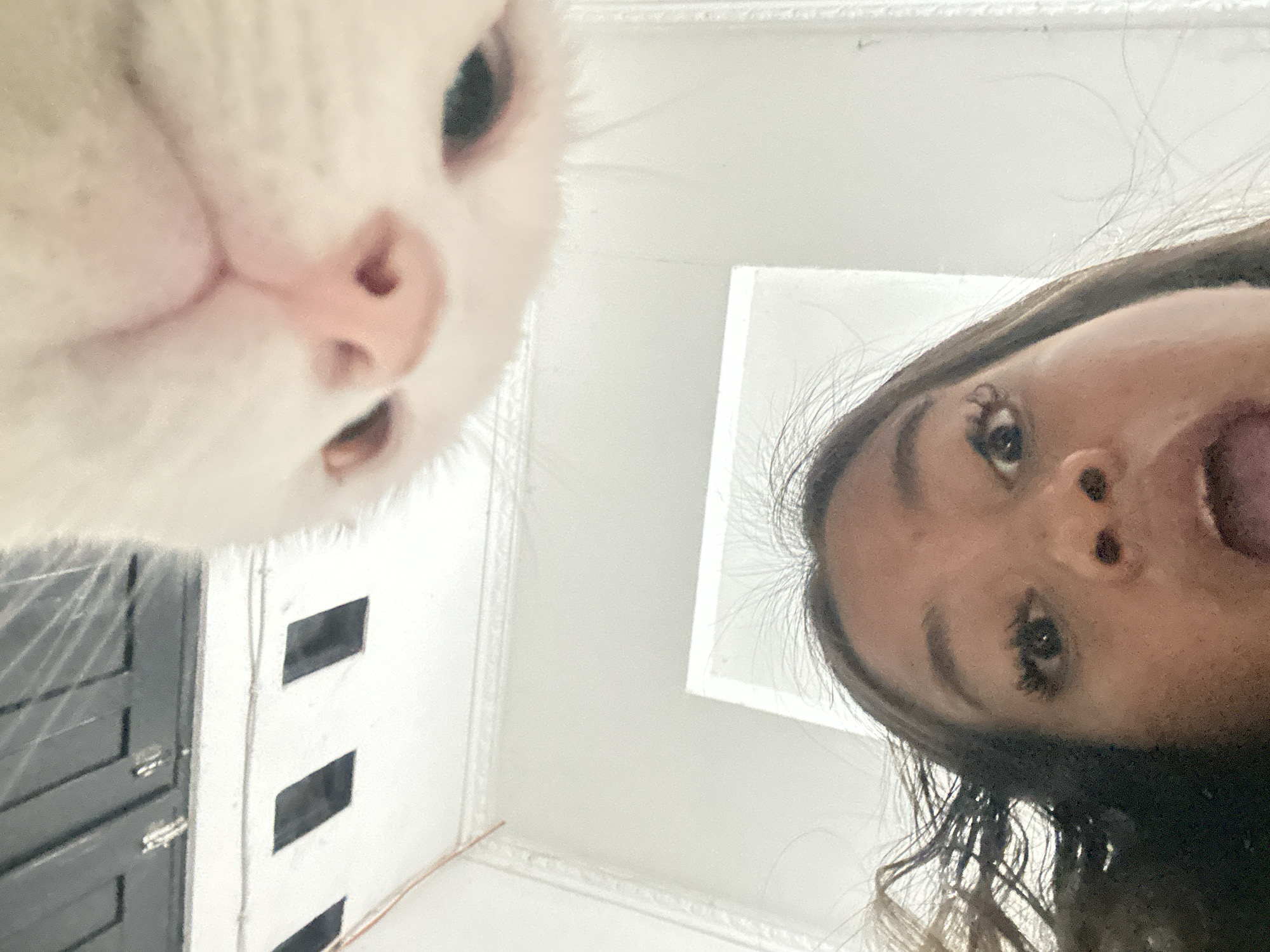 An upward-angle photograph shows a woman and a white cat. The woman is on the right with her mouth open and looking at the camera. The cat is on the left. They are both very close to the camera. Behind them, the ceiling is visible. A door and other objects can be seen in the background. The scene is located in North Jakarta, Indonesia.