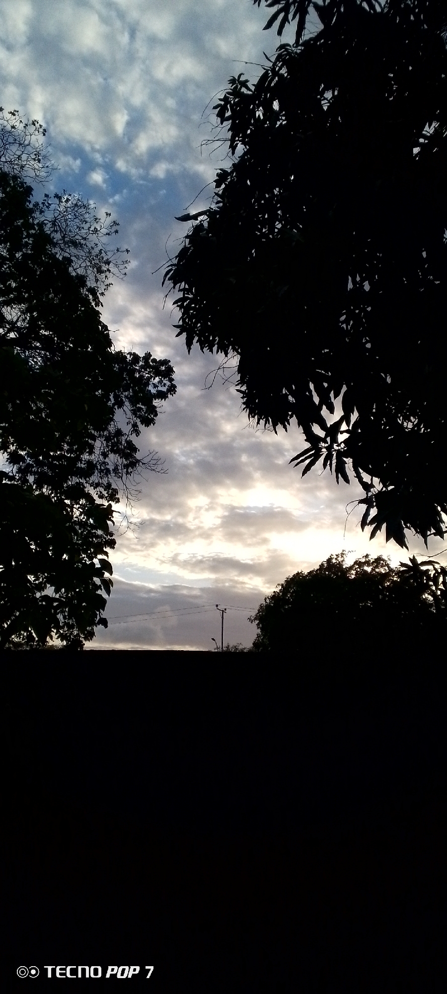 A low-angle, full-frame shot captures a silhouetted landscape at dusk or dawn in Altagracia, Venezuela. The sky is a prominent feature, filled with dramatic clouds in shades of gray and white, with patches of blue sky visible and a bright, diffused light source suggesting the sun is low on the horizon. Silhouetted against the sky are the dark forms of trees framing the upper portion of the image, with dense foliage on the right and sparser branches on the left. In the middle ground, a dark horizontal line suggests a wall or structure, and above it, a solitary streetlamp stands against the sky, with power lines stretching across. The foreground is entirely black, obscuring any details on the ground. The bottom left corner of the image displays a watermark that reads "TECNO POP 7".
