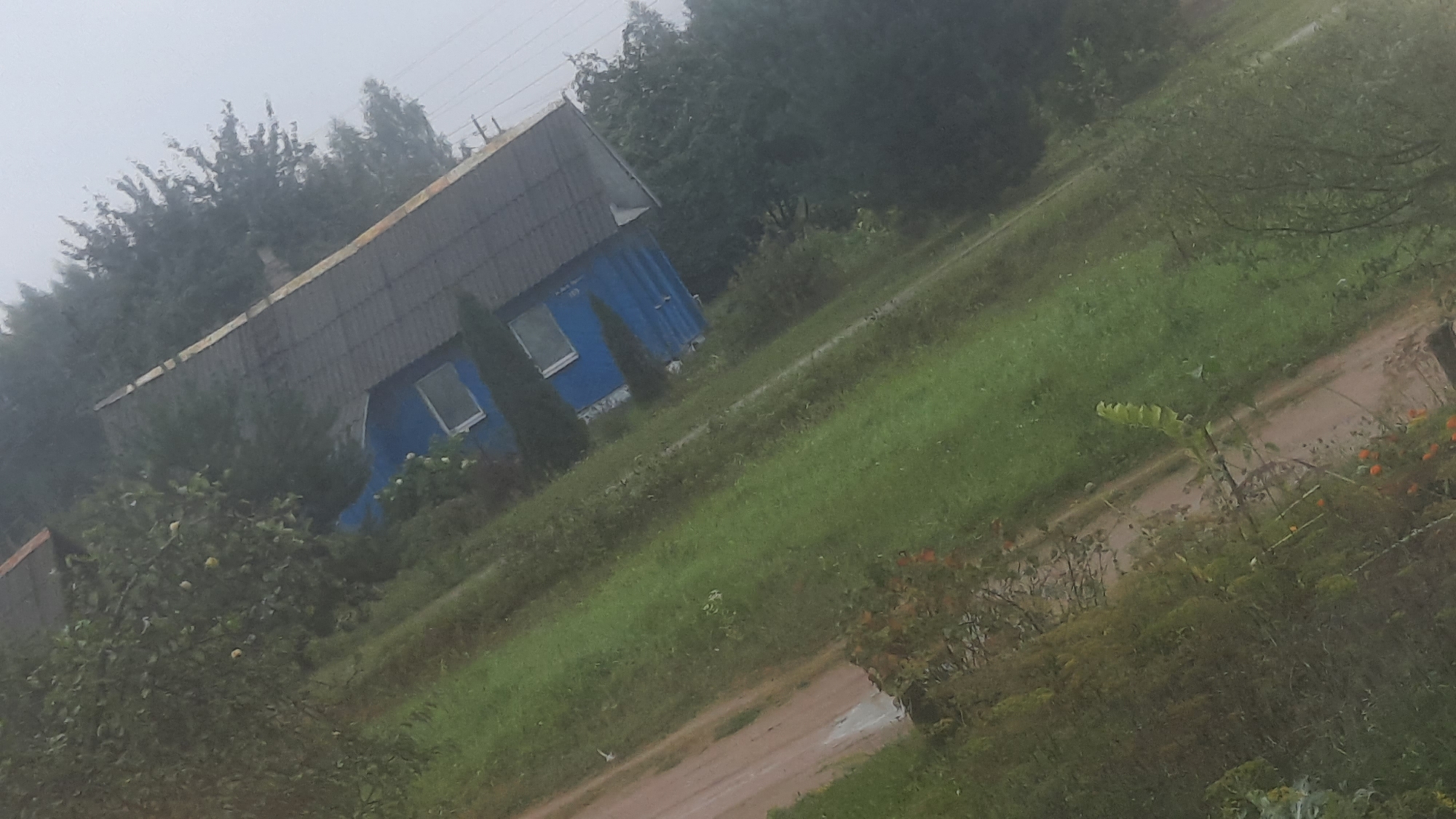 The image depicts a dilapidated blue building with a dark, corrugated roof, positioned at an angle within a natural, overgrown environment. The building features at least two rectangular windows. A dirt path runs diagonally across the lower left quadrant of the image, bordered by grassy areas and dense foliage. The overall scene suggests a rural or semi-rural setting with an emphasis on vegetation and an aged structure. The weather appears overcast, contributing to a somewhat muted color palette and a lack of sharp detail. There are no visible individuals or discernible actions taking place in the scene.