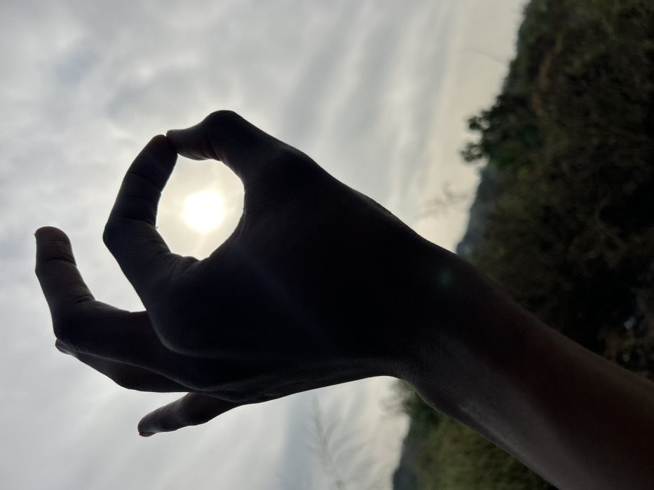 A human hand, silhouetted against a bright, cloudy sky, occupies the central-right foreground. The hand is positioned in an "OK" gesture, with the thumb and index finger forming a circle. Within this circular opening, the sun is centrally framed, appearing as a bright, diffuse light source due to the overcast conditions. The upper two-thirds of the image consist of a light grey, cloudy sky. The lower third of the image, below the hand, shows an out-of-focus natural landscape consisting of dark green and brown vegetation, including dense bushes and lighter plant stalks. The scene is an outdoor environment in the city of Debasco, Nigeria, captured under daylight conditions with significant backlighting, rendering the hand and immediate foreground elements as dark silhouettes. A minor green lens flare is visible on the lower portion of the hand.