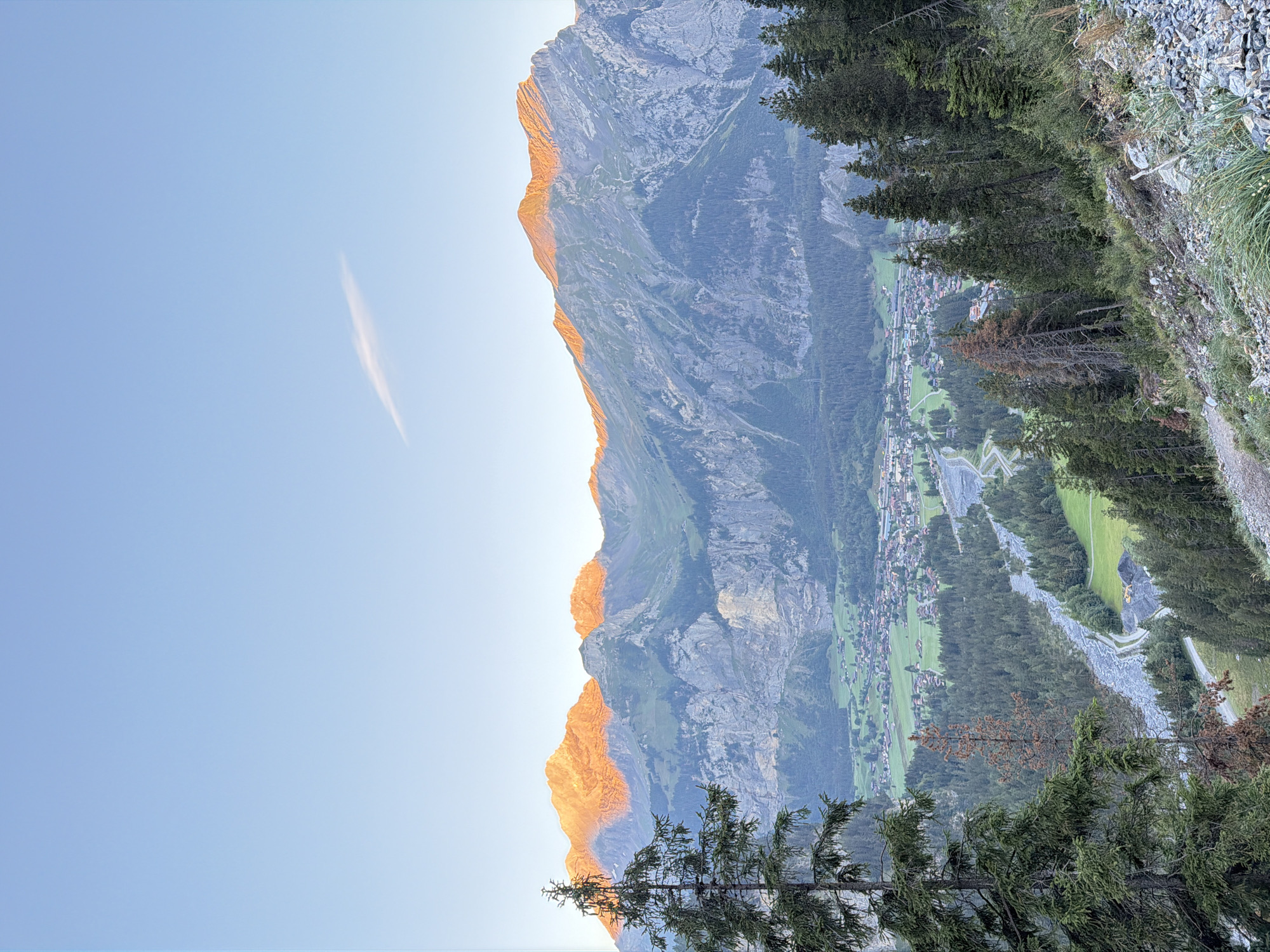 This is a vertical, eye-level shot of the Swiss Alps near Kandersteg, Switzerland, during the golden hour. The sun casts a warm orange glow on the peaks of the massive mountains in the background. In the mid-ground, a valley unfolds, dotted with a village and a winding river. The foreground is dominated by the steep, rocky slope of a mountain, covered in lush green pine trees and sparse undergrowth. The sky is clear and a pale blue, with a single wispy cloud stretching horizontally across the frame. A few dry, dead trees are interspersed with the green pines in the mid-ground. The scene is one of natural grandeur and tranquility.