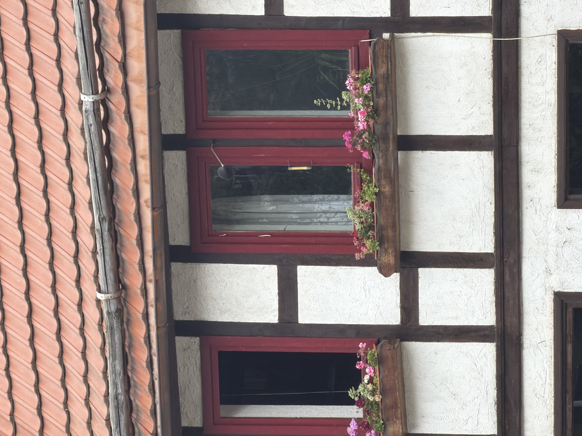 The image shows a section of a half-timbered building with a red-tiled roof. The facade is white with dark brown timber framing. There are three windows with red frames. Each window has a wooden planter box beneath it filled with pink and green flowers. The first window on the left is open and dark inside. The middle and right windows have glass panes, and the middle window has a sheer white curtain visible. The roof has a weathered wooden gutter with a metal clamp. This building is located in Erfurt, Germany.