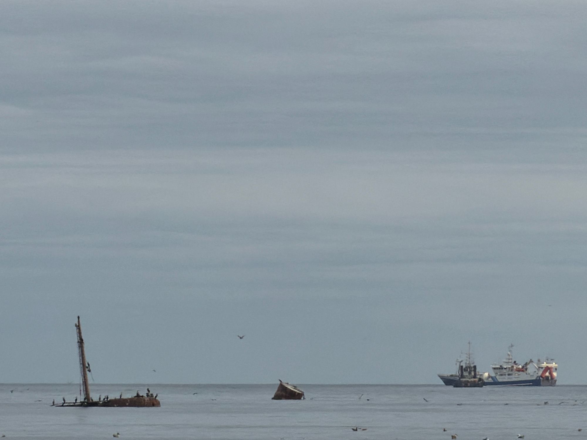 The image captures a serene, overcast day at sea, possibly near Yuzhno-Kurilsk, Russia, given the context of the Kuril Islands being a common location for shipwrecks and maritime activities. The scene is dominated by a muted, gray sky that stretches across the frame, meeting a calm, dark gray ocean. In the foreground, a derelict wooden ship, appearing to be a wreck, is partially submerged. Its mast stands tilted, and a scattering of birds, likely seagulls, are perched on its remains and circling the water around it. To the right, two modern vessels are visible on the horizon. The larger vessel, painted white with blue and red accents, appears to be a patrol or rescue ship, possibly with the insignia of a maritime authority. It is accompanied by a smaller, darker vessel, possibly a tugboat or a support craft. The overall atmosphere is one of quiet melancholy, with the remnants of the past ship contrasting with the active presence of the modern vessels. The water is calm, with a few distant birds visible near the surface.