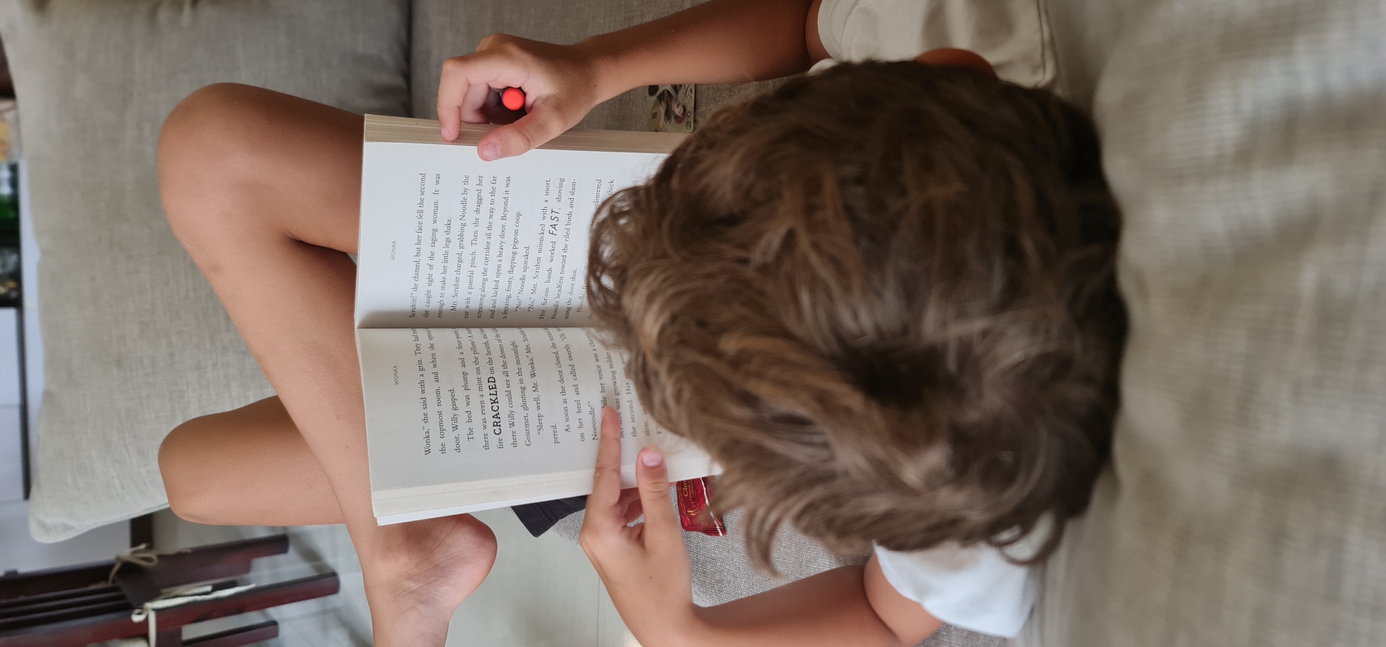 A child with brown hair is reading a book titled "Wonka" while sitting on a gray couch. A red pen lies on the left page. The child is wearing a white t-shirt. The environment consists of pillows and a wooden stool. The image does not provide information to identify the location as Đà Nẵng, Vietnam.