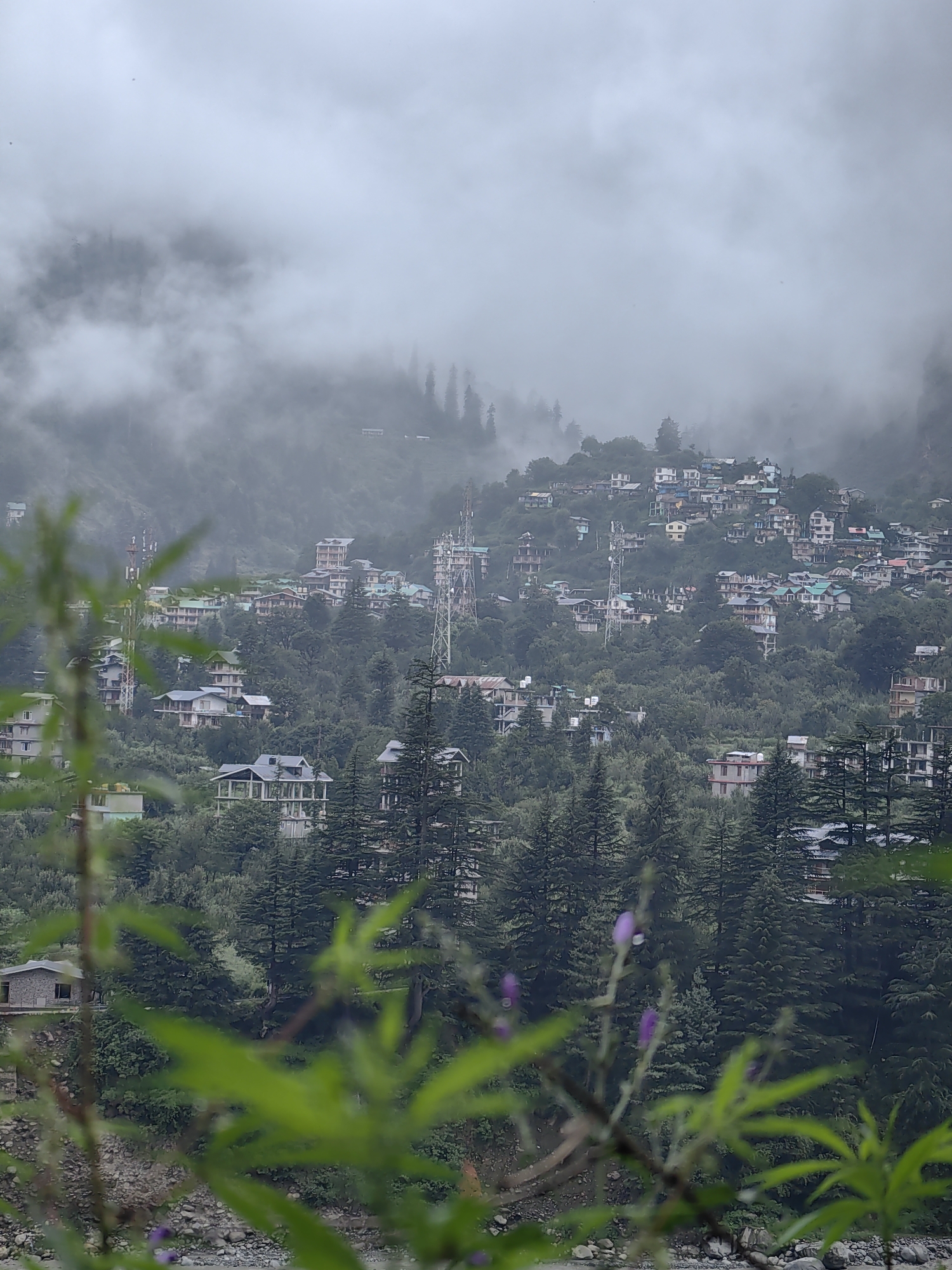 This is a vertical, eye-level, medium shot of a hillside town nestled within a misty, mountainous landscape. The scene is dominated by buildings constructed on varying levels of the incline, densely packed and partially obscured by lush green trees and fog. The architecture is varied, with many structures featuring multiple stories, balconies, and pitched roofs. Colors range from white and light gray to muted blues and reds, with some buildings sporting green roofs. Several tall telecommunication towers are interspersed among the buildings, indicating a degree of modernization.
The weather is overcast and foggy, with thick clouds obscuring the upper portions of the hills and creating a soft, diffused light. This suggests it is likely daytime, but the exact time is unclear due to the atmospheric conditions. The overall mood is tranquil and somewhat serene, with the mist adding a sense of mystery to the scene.
In the foreground, out-of-focus green foliage and branches with small purple flowers frame the view of the town. Below the town, a rocky riverbed is visible. The location is identified as Manali, India, a popular hill station. The image captures a residential or commercial area of the town, showcasing its integration with the natural mountainous environment. No people are clearly visible, and there is no visible text in the image.