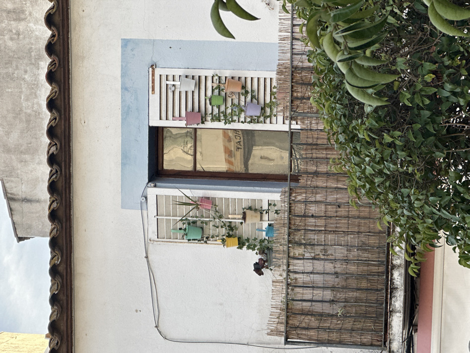 The image depicts an exterior view of an upper floor of a building located in Calella De Palafrugell, Spain. The structure features a white stucco facade and a partial terracotta tiled roofline visible at the top. A secondary, unpainted concrete building section is visible in the upper background.
A central window with a dark wooden frame and reflective glass is prominent, flanked by two open, white louvered shutters. The window glass exhibits a distorted reflection containing inverted text, possibly "TAGA" or "TACH". The window frame is outlined by a light blue painted trim.
Seven small, brightly colored plastic planters (mint green, yellow, beige, light pink, mint green, lavender, orange) are vertically suspended from the louvered shutters. These planters contain various small plants and ivy-like vines that trail along the shutters. A dark, possibly equestrian-themed, figurine rests on the balcony railing to the left of the window.
Below the window is a balcony featuring a dark metal railing, which is largely obscured by a light brown reed or bamboo screen extending across its length. A black utility cable runs diagonally across the white facade from the upper left, secured by a white mounting fixture near the window.
The lower right foreground is dominated by dense green foliage, consistent with a large shrub or tree, partially obscuring the lower section of the balcony and the building below it. The scene is illuminated by ambient daylight, suggesting an overcast or diffused sky. No individuals are visible.