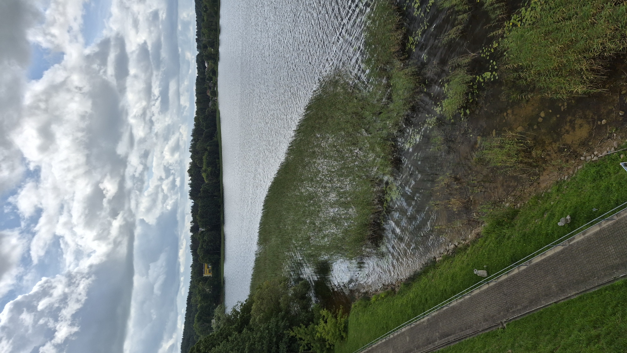 The image depicts a serene lake scene in Zarasai, Lithuania, under a cloudy sky. A paved walkway runs along the left side of the frame, bordered by a grassy slope and a metal railing. Beyond the walkway, the lake stretches out, with reeds growing in the shallow waters near the shore. A dense line of trees forms the backdrop on the opposite side of the lake, with a few buildings visible amongst them. The water is calm, with gentle ripples disturbing its surface. The overall impression is one of a tranquil natural setting within the city limits.