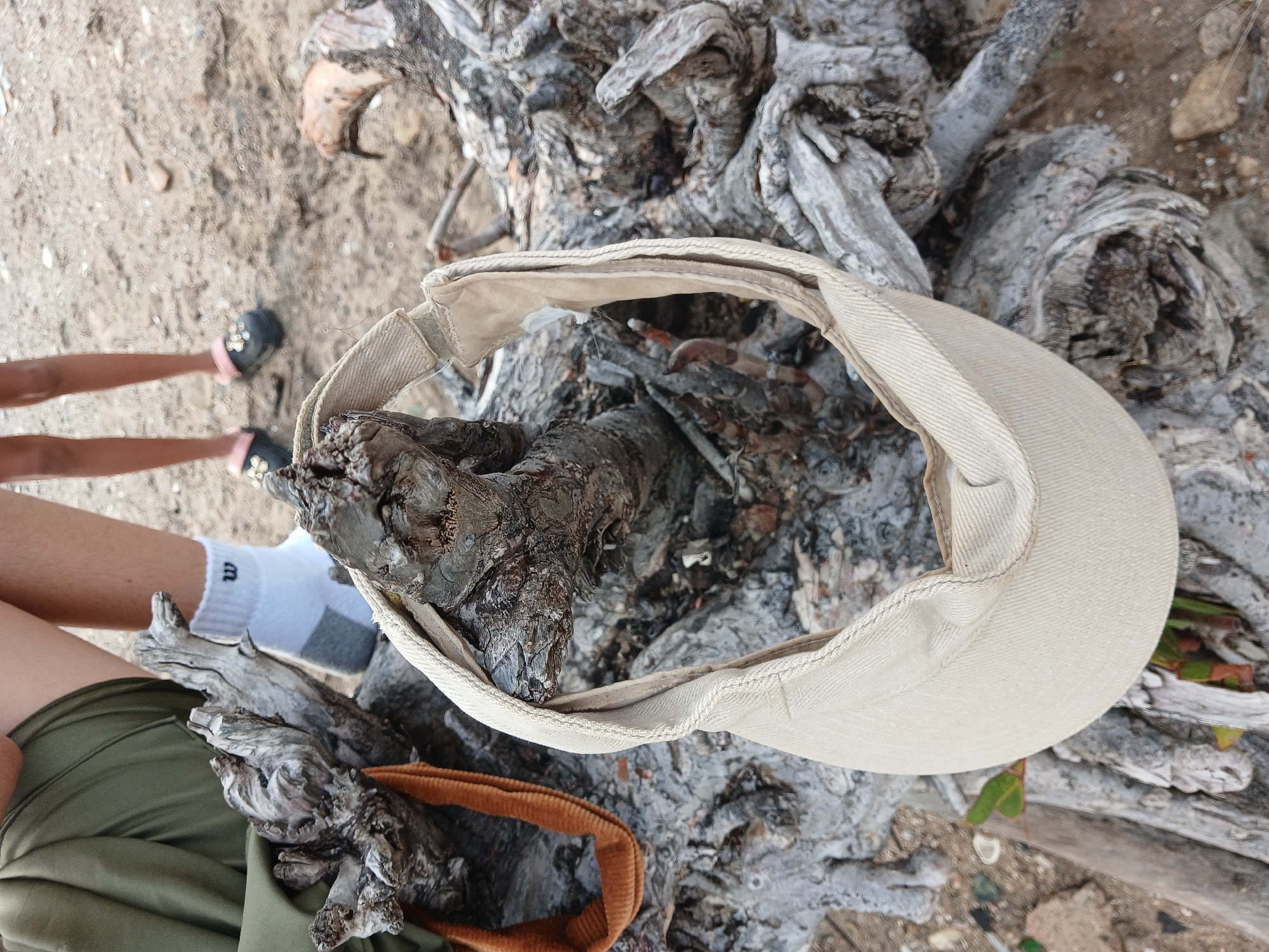 In Altagracia, Venezuela, two individuals, likely children, are present near a piece of weathered driftwood. One individual wears a green garment and white socks with a logo, while the other has dark footwear and a dark garment. A light-colored visor is draped over the driftwood, partially obscuring it. The ground is covered in sand and small stones, suggesting an outdoor, possibly coastal, environment. The driftwood itself is gnarled and complex, with visible textures and protrusions.
