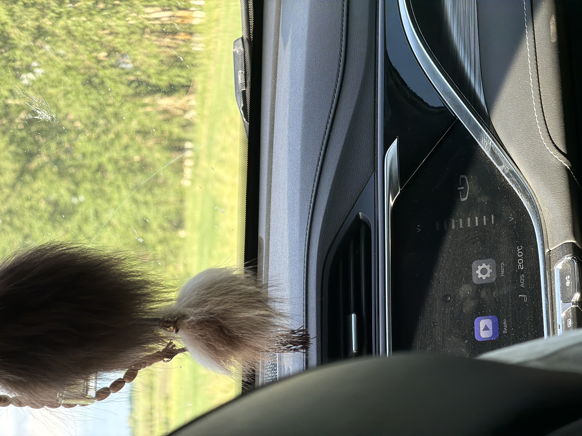 The image captures the interior of a car, specifically the dashboard and the view through the windshield, under bright daylight conditions. A prominent furry decorative item, possibly a charm or keychain with a braided cord, hangs from the top of the windshield on the left, partially obscuring the view.

Through the windshield, a vibrant green outdoor scene, likely a field or grassy area, is visible. The windshield itself shows some dust, smudges, and minor streaks.

The car's dashboard features a modern design with dark, textured surfaces, stitched accents, and metallic or chrome trim around various elements. An air vent is visible on the dashboard. The central feature is a digital infotainment screen, which appears dusty. On the screen, a gear icon is labeled "Настр." (short for "Настройки," meaning Settings in Russian), and a play button icon is labeled "Видео" (Video in Russian). Also visible is "AQS 20.0°C," likely indicating Air Quality Sensor information and the cabin temperature. A power symbol is also displayed on the screen.

The car appears to be stationary or moving slowly, offering a clear view of the surroundings. The scene is situated in Akkuzovo, Russia.