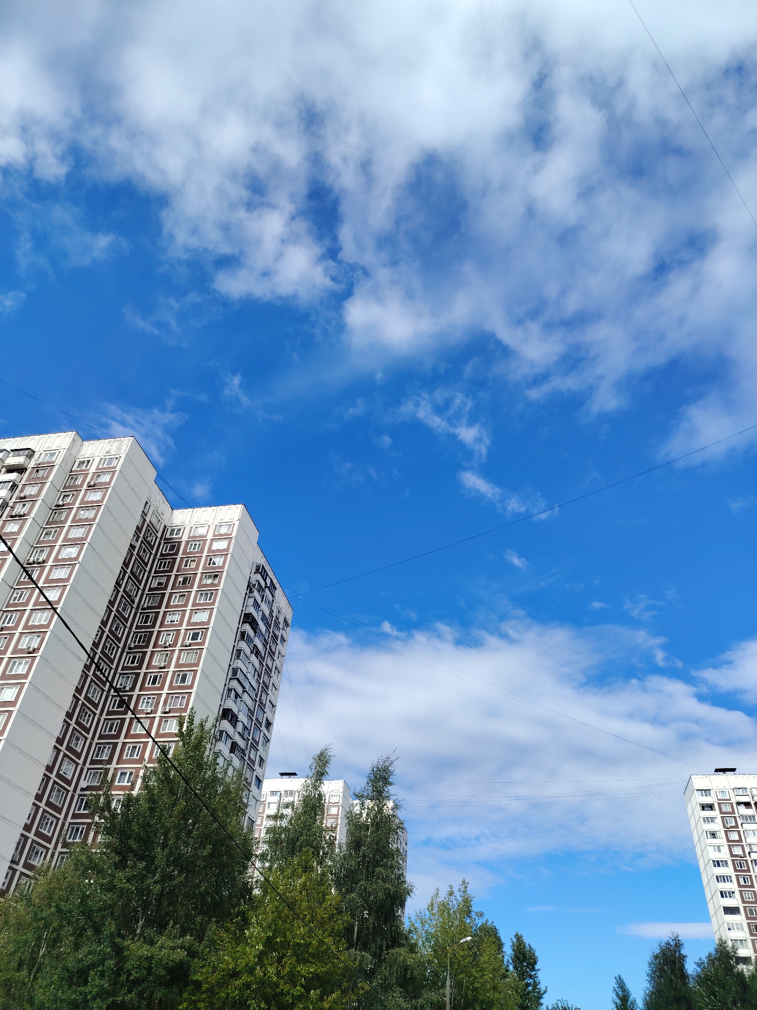 The image shows a view from below of several tall residential buildings in Zelenograd, Russia. The sky is blue with scattered white clouds. The buildings are white with brown window frames and are quite tall, reaching high into the sky. There are trees in the foreground, obscuring the lower parts of some of the buildings. Several power lines are visible stretching across the sky. The architecture of the buildings suggests they are apartment blocks. The image is taken from a low angle, emphasizing the height of the structures and the expanse of the sky. No people are visible in the image.
