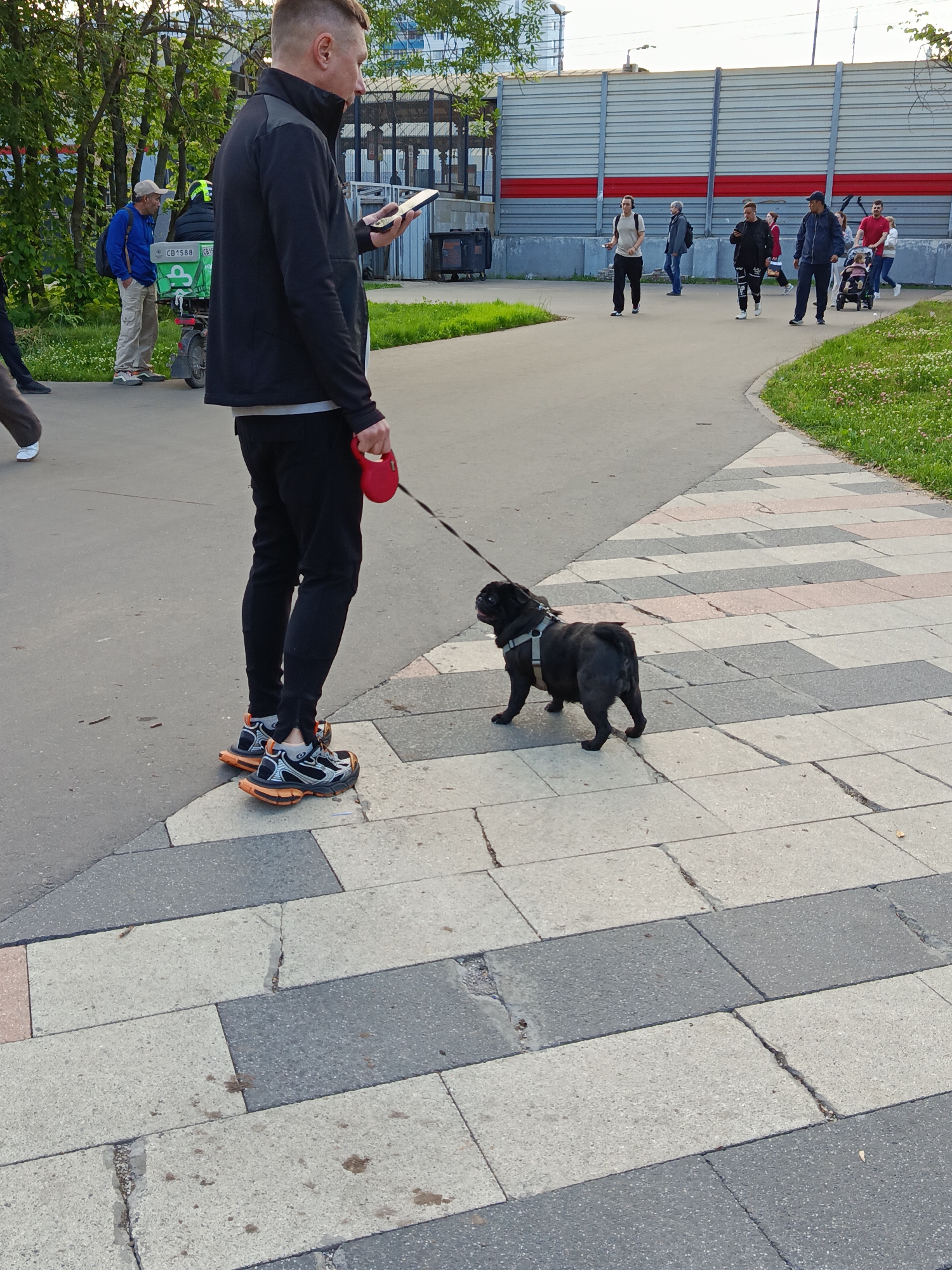 A man is walking a black pug on a leash in a paved urban area. The man is wearing a black jacket and black pants with prominent orange and black sneakers. He is holding a red leash in his right hand and looking at his phone. The pug is wearing a grey harness and is walking ahead of the man. The pavement is made of large, rectangular tiles in alternating shades of grey and beige. To the left of the paved area is a patch of grass and trees. In the background, there is a metal fence with red accents and other people walking in the distance. A delivery scooter with a green box is parked to the left, partially obscured by trees.