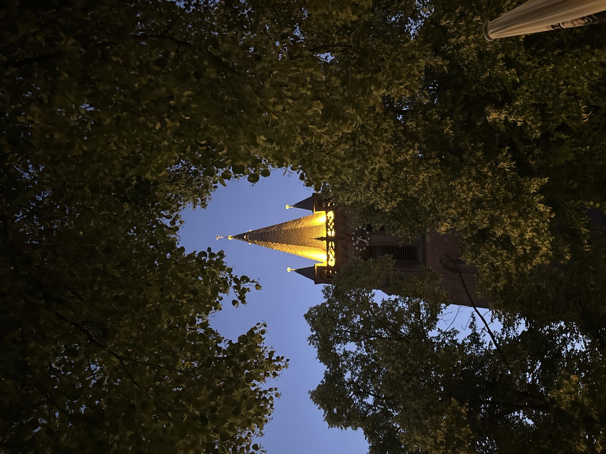 The image shows a church tower with a pointed spire, illuminated by warm yellow lights, peeking through the branches of trees. The sky is a deep twilight blue. The tower appears to be constructed of brick and has a clock face visible partway up. Smaller spires flank the main spire, also lit. The trees are dense with green leaves, framing the view of the tower. The overall scene suggests an evening or dusk setting. This church is likely the Protestant church of Uerdingen (Evangelische Kirche Uerdingen) located in Krefeld, Germany, given its characteristic architecture and spire.