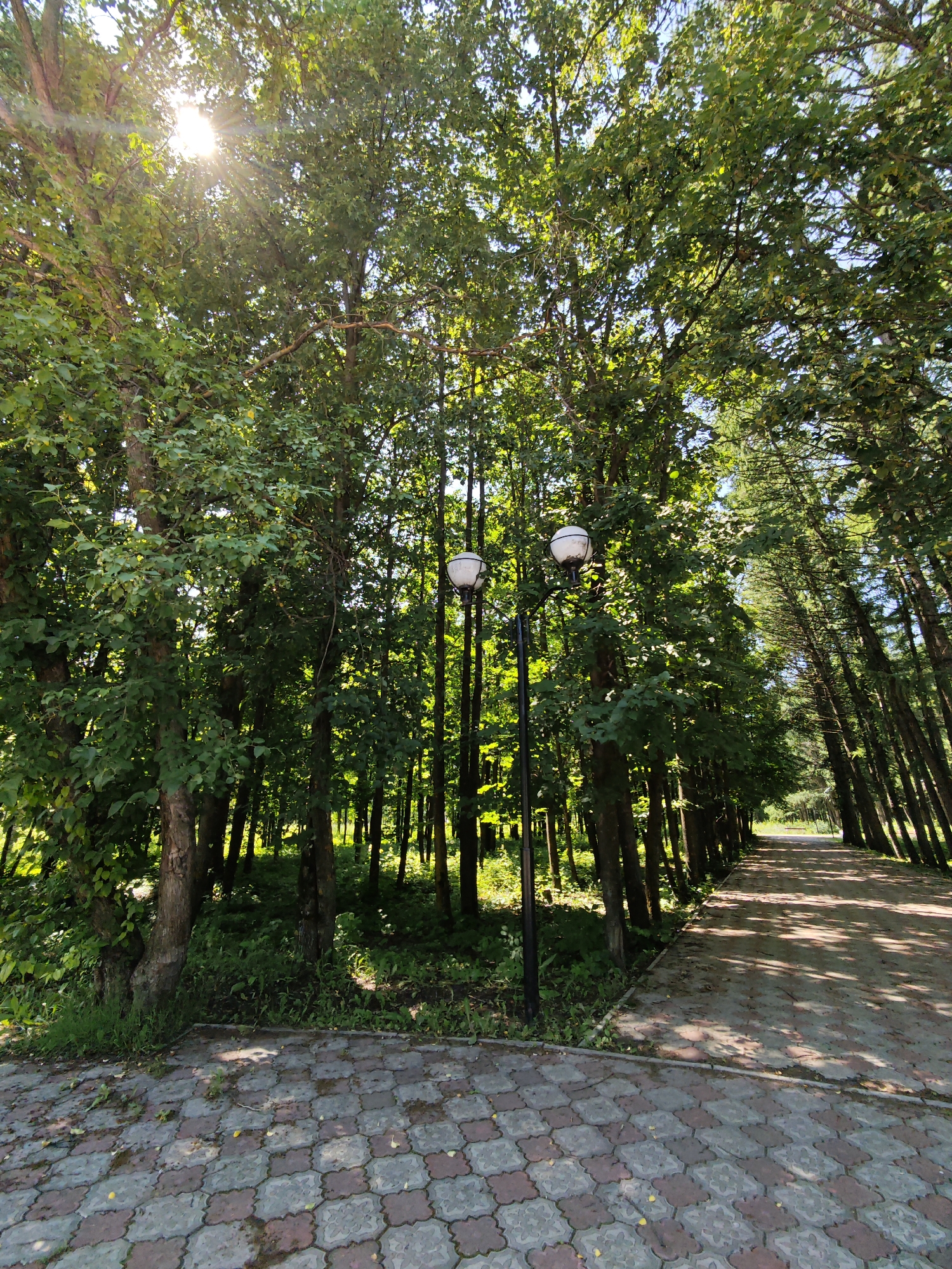 A paved pathway lined with trees on both sides recedes into the distance. The pathway is constructed with interlocking pavers in shades of gray and red. On the left side of the pathway, the trees are dense and create a shaded area with dappled sunlight filtering through the leaves. A lamppost with two spherical lights is visible amongst the trees on the left. On the right side, the trees are spaced more widely, and the pathway is bathed in sunlight with distinct shadows cast by the trees. The sun is bright and appears to be shining through the foliage on the left side of the image, creating lens flare. The environment appears to be a park or a tree-lined avenue within the city of Yarykovo, Russia. There are no people visible in the image.
