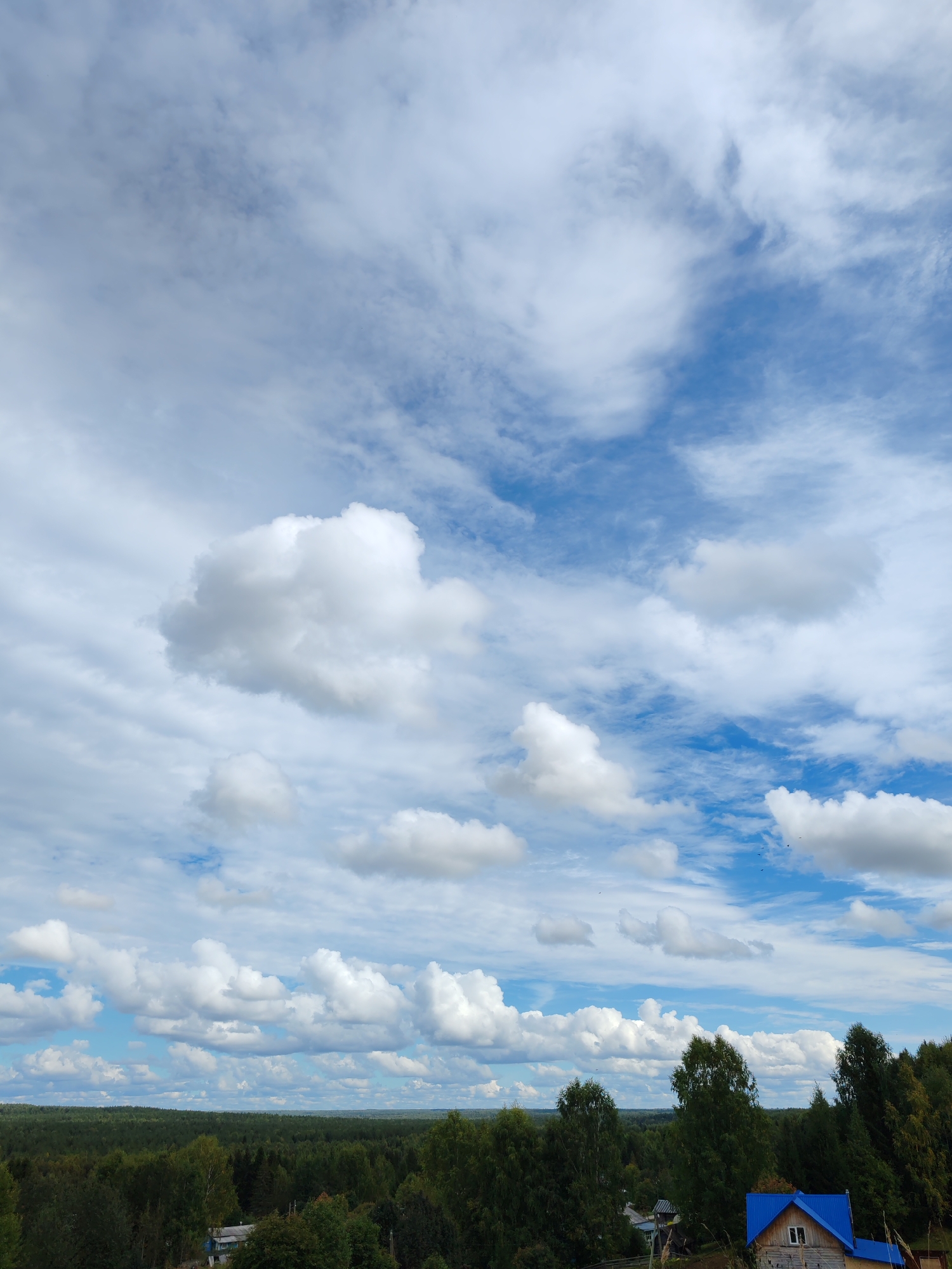 The image shows a wide, scenic view of a rural landscape under a dynamic, cloudy sky. The foreground is dominated by a dense, dark green forest canopy stretching horizontally across the middle ground. Several tall trees with varying shades of green foliage are visible, some of them appearing lighter with hints of yellow and brown, suggesting the transition to autumn. In the lower right portion of the image, a small, rustic wooden house with a bright blue metal roof and a single window is partially visible. A small, detached blue structure, possibly an outbuilding or shed, is located to the right of the house.
The sky above is a vivid blue, heavily populated with a variety of clouds. Large, puffy cumulus clouds are scattered throughout, while thinner, wispy cirrus clouds stretch across the upper expanse. The clouds create a sense of depth and movement, with the sunlight illuminating their bright white surfaces against the blue backdrop. A few small, dark specks, possibly birds, are visible against the sky.
The landscape extends to the horizon, where a faint, hazy line suggests rolling hills or more distant forest. The overall impression is one of natural beauty and tranquility, typical of a rural setting. The location is identified as Чухлэм, Russia, though specific landmarks or urban features are not apparent in the image. The scene appears to be captured from an elevated viewpoint, looking down upon the forest and the house.