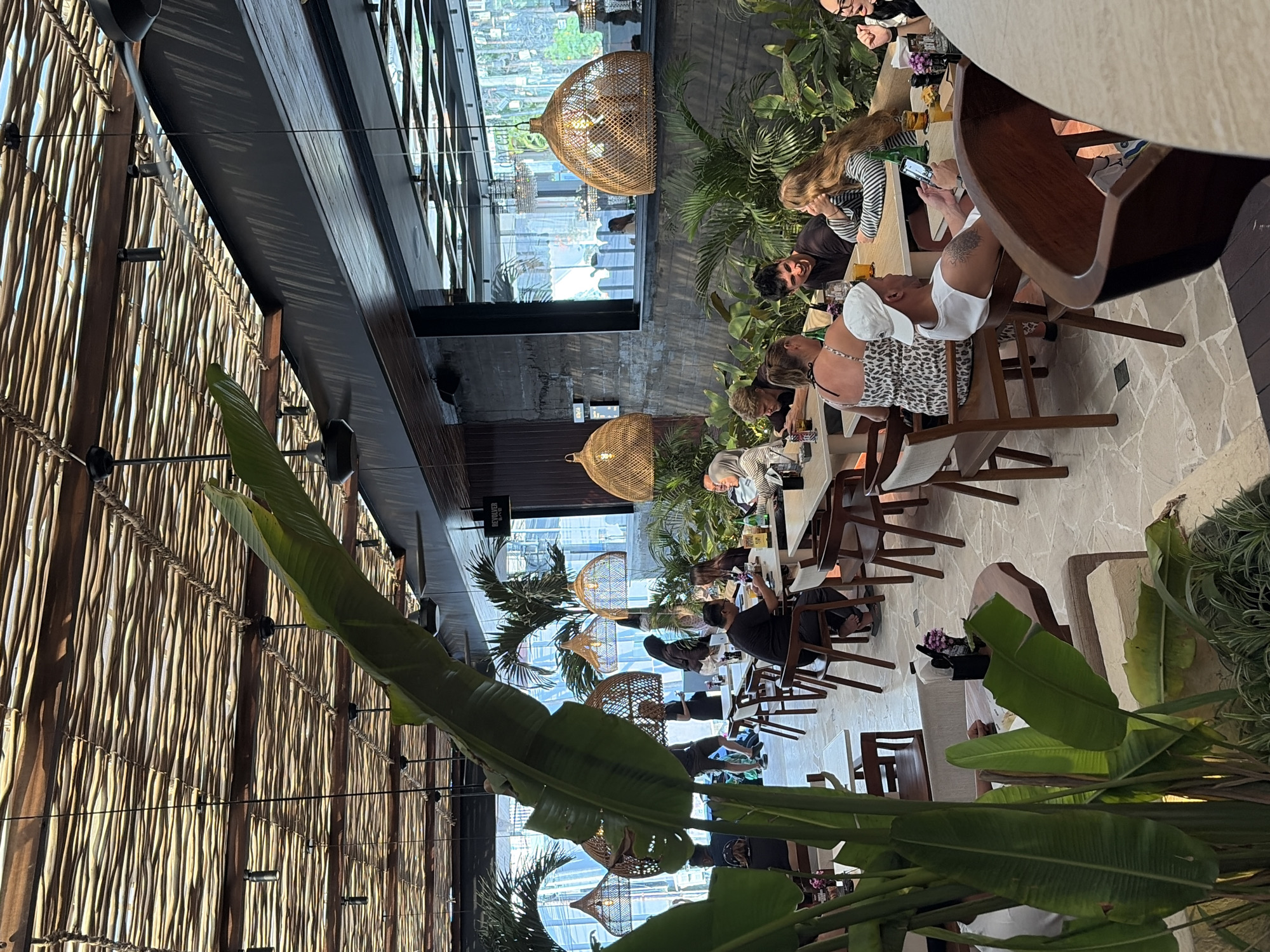 The image depicts the interior of a restaurant in North Kuta, Indonesia, characterized by a tropical ambiance. The ceiling is constructed of woven bamboo reeds supported by wooden beams, with several black ceiling fans interspersed. Large, lush green banana leaves from potted plants dominate the foreground, partially obscuring the view of the dining area.
The dining area features multiple tables and chairs arranged on a light-colored tiled floor. Many diners are seated at the tables, engaged in conversation and eating. In the mid-ground, a group of people are seated at a table, with a man wearing a white cap looking at his phone. To his left, a woman with long blonde hair is leaning forward, talking. Another man and woman are seated opposite them.
Further back, more tables are occupied by diners. Decorative pendant lights with woven wicker shades hang from the ceiling. The back wall of the restaurant features a large mirror reflecting the interior and some of the greenery. Palm trees and other tropical plants are strategically placed throughout the space, enhancing the lush, open-air feel. The overall lighting is warm and diffused, contributing to a relaxed and inviting atmosphere.