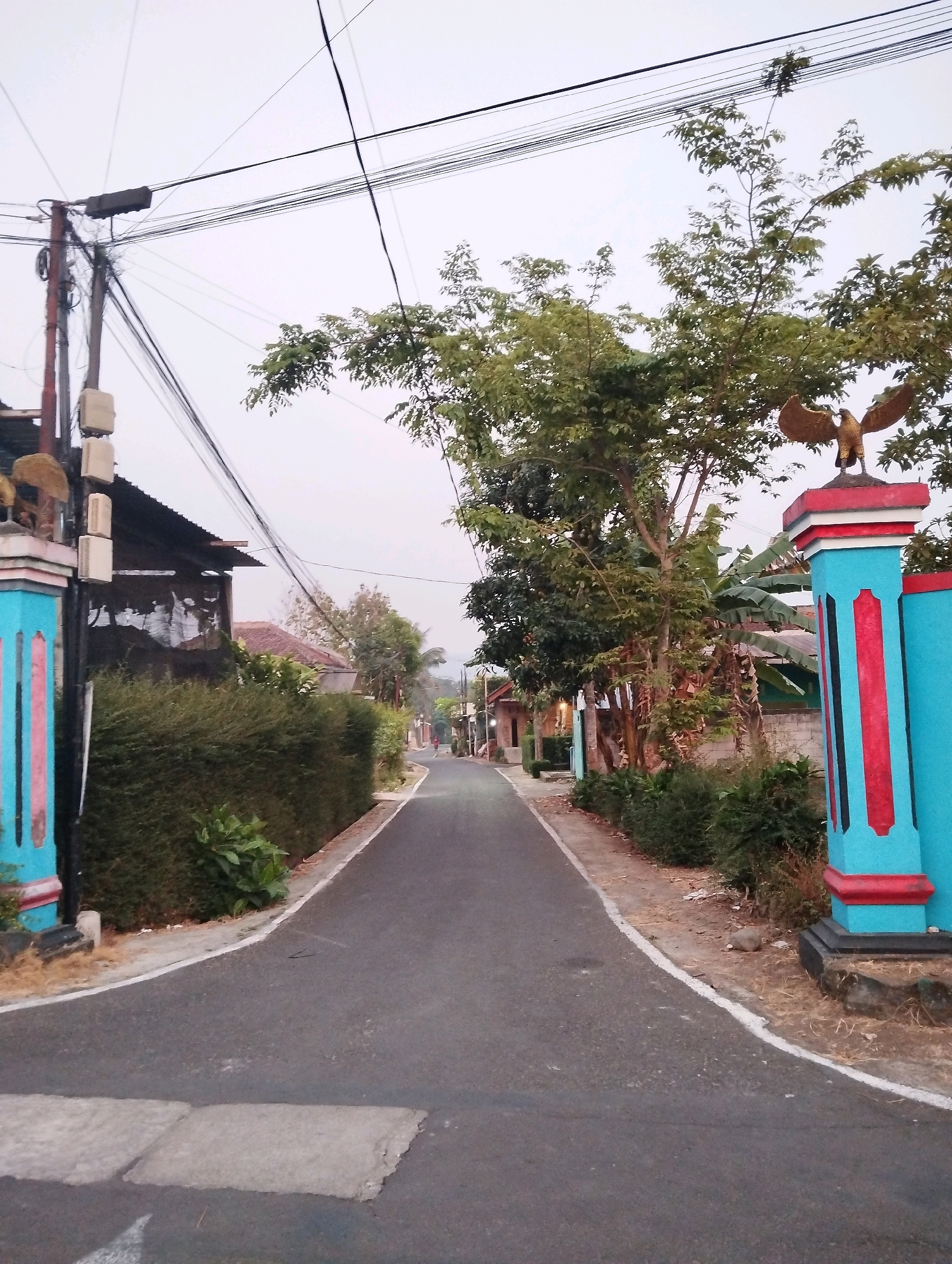 The image depicts a street scene in Salatiga, Indonesia, likely in a residential area. A paved road leads into the distance, flanked by neatly trimmed hedges on the left and ornamental pillars with eagle sculptures on the right. Overhead, a dense network of electrical wires crisscrosses the sky, attached to a utility pole on the left. Houses with tiled roofs are visible in the background, partially obscured by lush green trees and banana plants. The sky is overcast, suggesting it may be early morning or late afternoon. The overall impression is one of a quiet, well-maintained street in a tropical climate.
