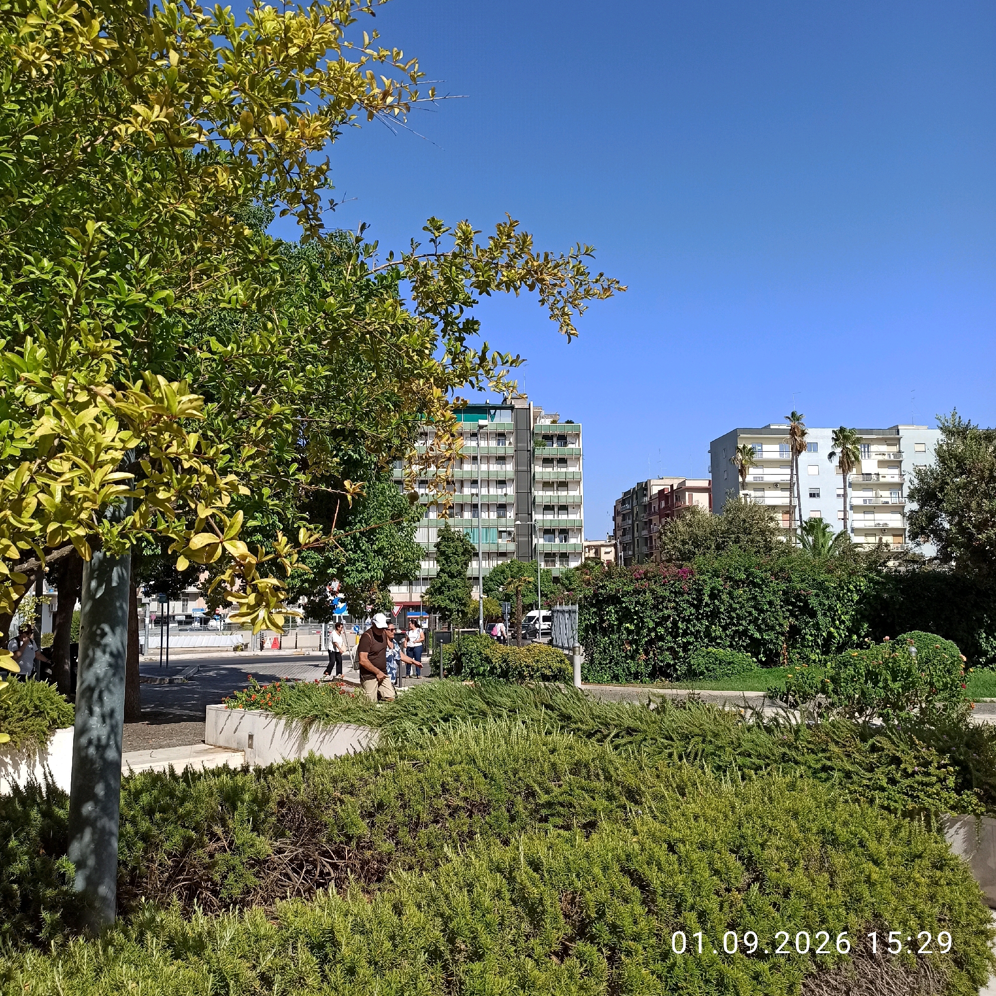 In Bari, Italy, a sunny day unfolds with a view of modern apartment buildings in the background. In the foreground, lush green shrubbery and a tree with yellowing leaves dominate the scene, casting dappled shadows on a grey lamppost. Several people are visible walking on a paved path behind the greenery, some appearing to be strolling while others might be engaged in light activity. One individual is seen wearing a brown shirt and a white cap, facing away from the camera, while another person in a white shirt and blue jeans is walking towards the right. Traffic is suggested by the presence of a white van in the middle ground. A timestamp "01.09.2026 15:29" is visible in the lower right corner, indicating the date and time the photograph was taken. The sky is a clear, vibrant blue.