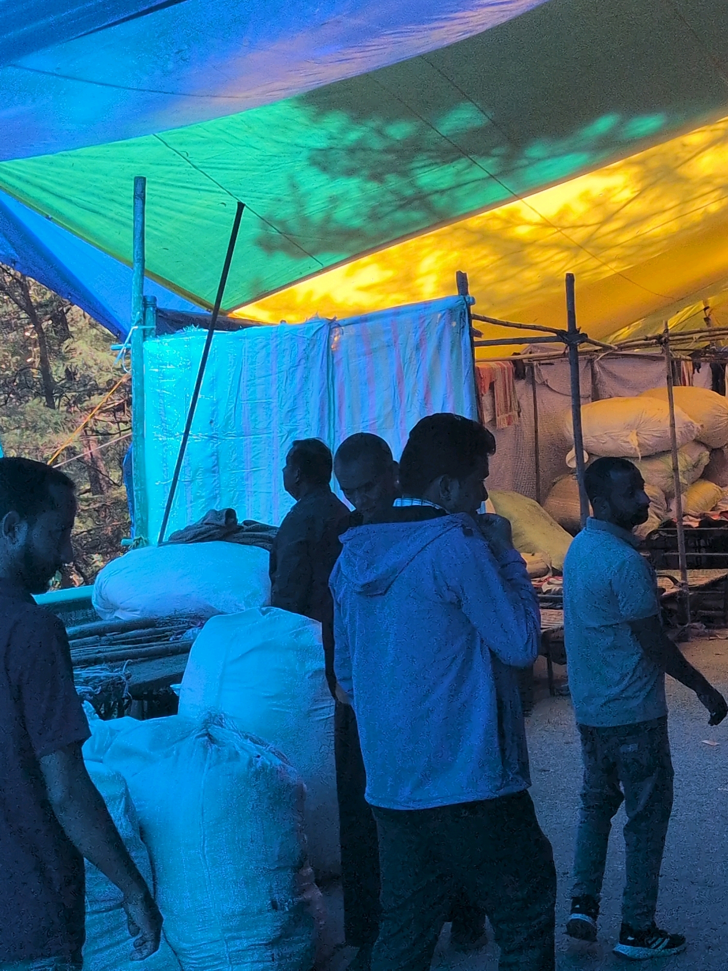 The image depicts a busy outdoor scene, likely in the city of Dharamkot, India, characterized by a colorful canopy overhead. The canopy is divided into sections of bright blue, green, and yellow, with shadows of tree branches cast upon its surface. Beneath the canopy, several individuals are visible. In the foreground to the left, a man in a dark shirt stands looking towards the right. Further back and to the right, a group of men are gathered. One man, wearing a blue hooded jacket, faces away from the camera. To his left, another man in a dark shirt looks down. To the far right, a man in a light blue t-shirt and jeans faces to the right, appearing to walk away. The ground is a paved surface. Piles of large, white sacks are stacked in the middle and right portions of the image, suggesting a marketplace or storage area. Behind the sacks, additional structures and materials are partially visible. The overall impression is one of a vibrant, possibly commercial, setting with a significant amount of goods being stored or sold.