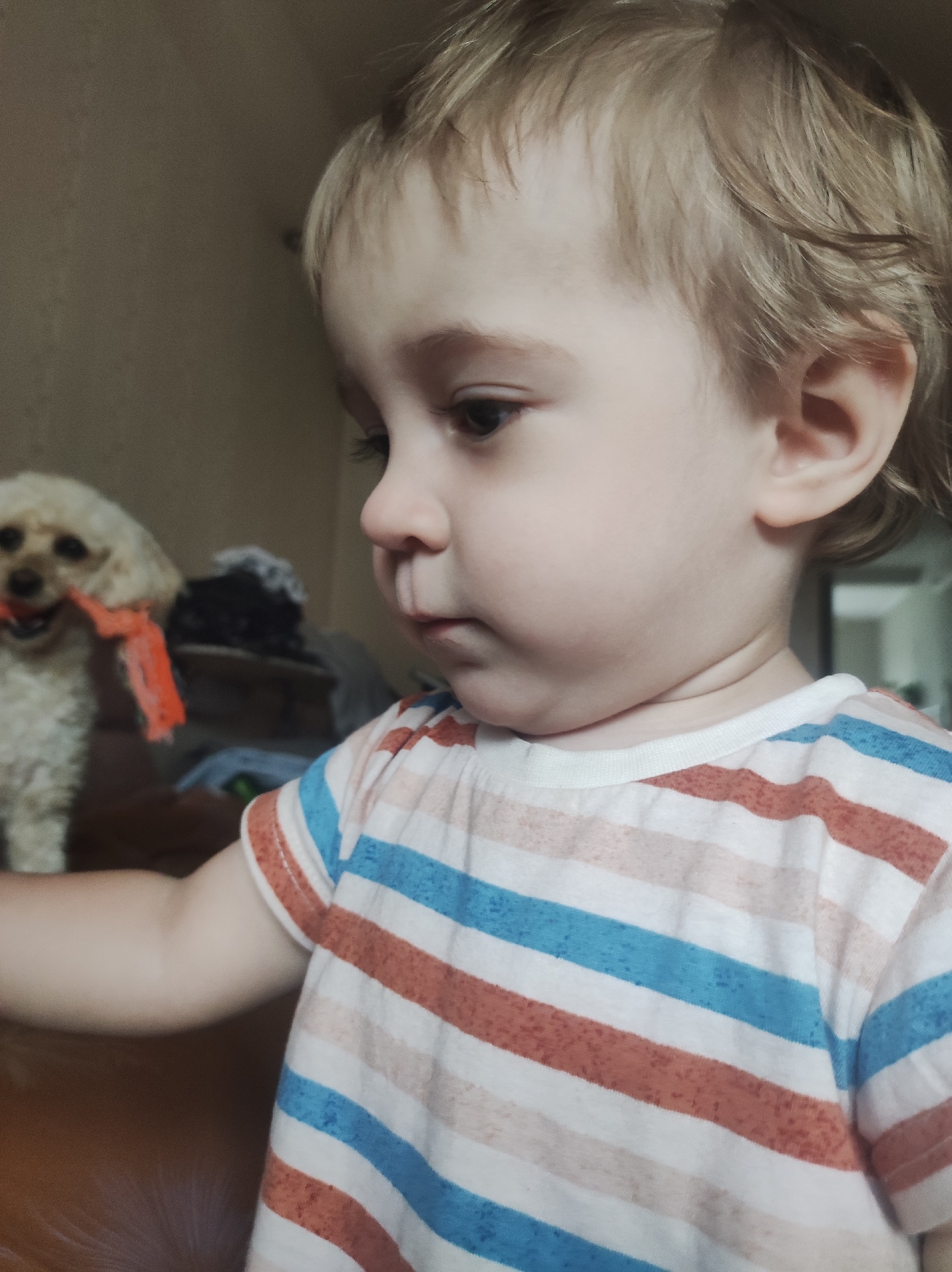 A young child with blond hair is shown in a close-up, side-profile shot. The child is wearing a striped T-shirt with alternating blue, white, and orange stripes. The child is looking downward. A small, white dog with an orange toy in its mouth is standing in the background. The location is Chaikovsky, Russia.