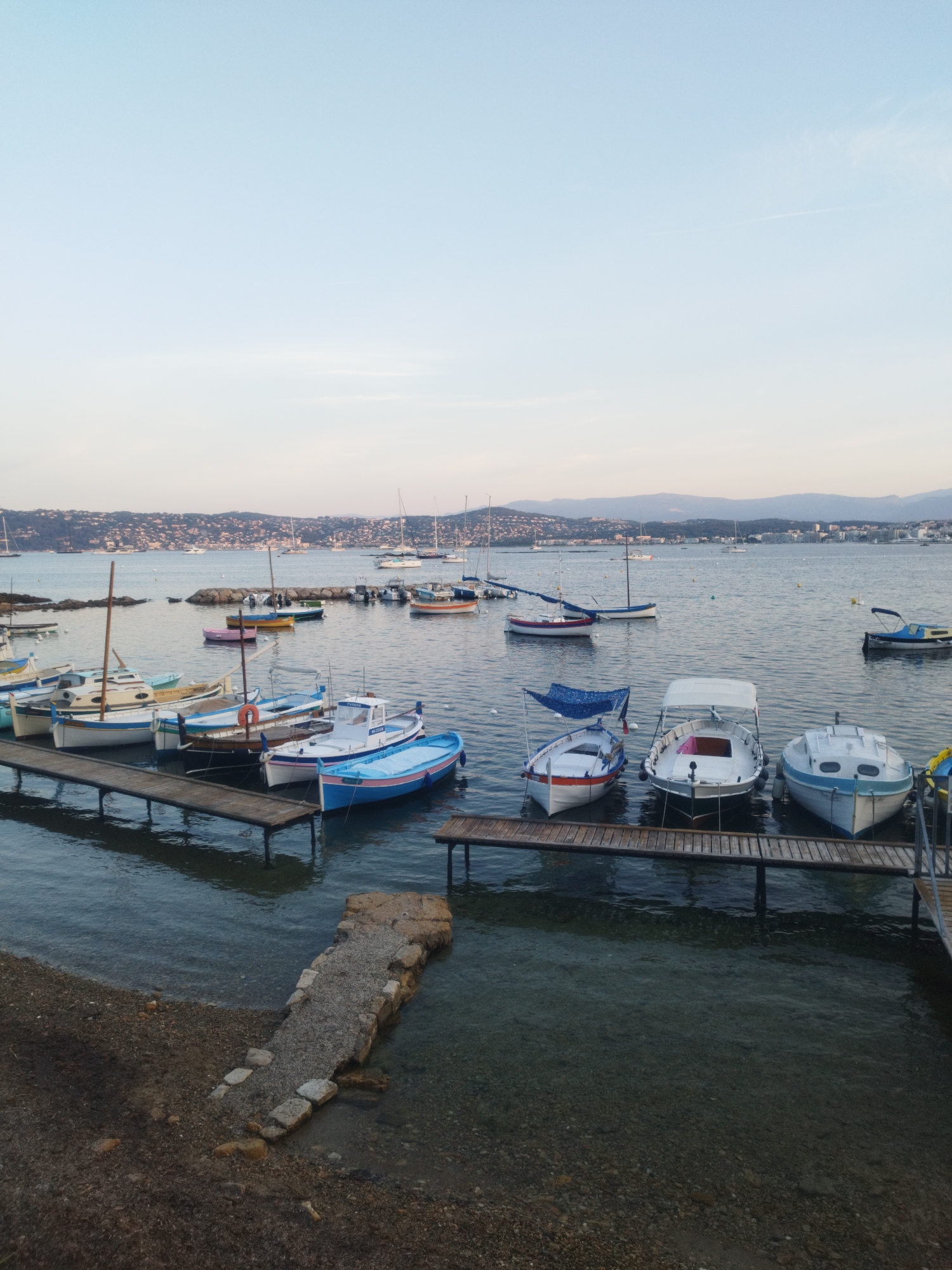 This is an eye-level, vertical, full shot of a small harbor in Antibes, France, likely in the early morning or late evening given the soft light. The water is calm and reflects the sky, which transitions from a pale blue at the top to a lighter hue near the horizon. In the foreground, a wooden jetty extends into the water, with several small boats moored alongside it. These boats vary in color and design, with some being white with blue trim, and others featuring vibrant colors like blue and pink. A rocky shoreline is visible to the left of the jetty. In the mid-ground, more boats are anchored, including a few sailboats with their masts raised. The background shows a hazy coastline with buildings and hills, characteristic of the French Riviera. The overall scene conveys a sense of tranquility and a typical coastal Mediterranean setting. There are no people visible in the image.