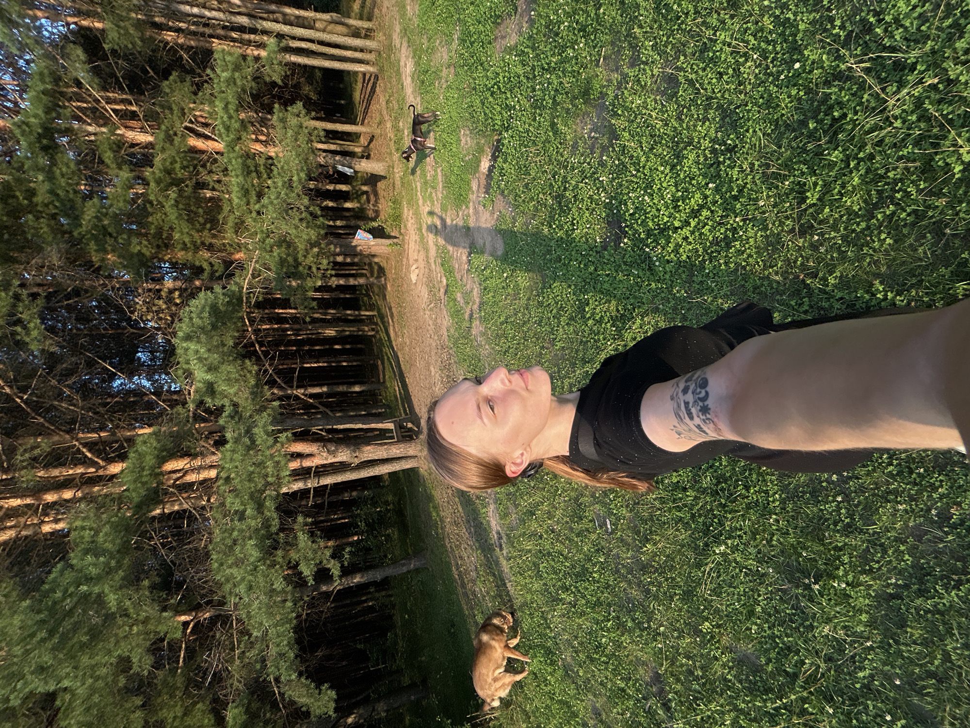 A selfie is taken by a young woman with light brown hair in a ponytail, wearing a black t-shirt, standing in a grassy area with a forest in the background. She has tattoos on her right arm. The woman is looking to her right, and her left arm is extended, holding the camera. To her left, a tan dog with its head down is sniffing the ground. In the middle ground, a black dog with a pink collar is standing on a dirt path. The environment is a sunlit clearing with tall pine trees. The image was captured in Chaikovsky, Russia, during a warm afternoon.