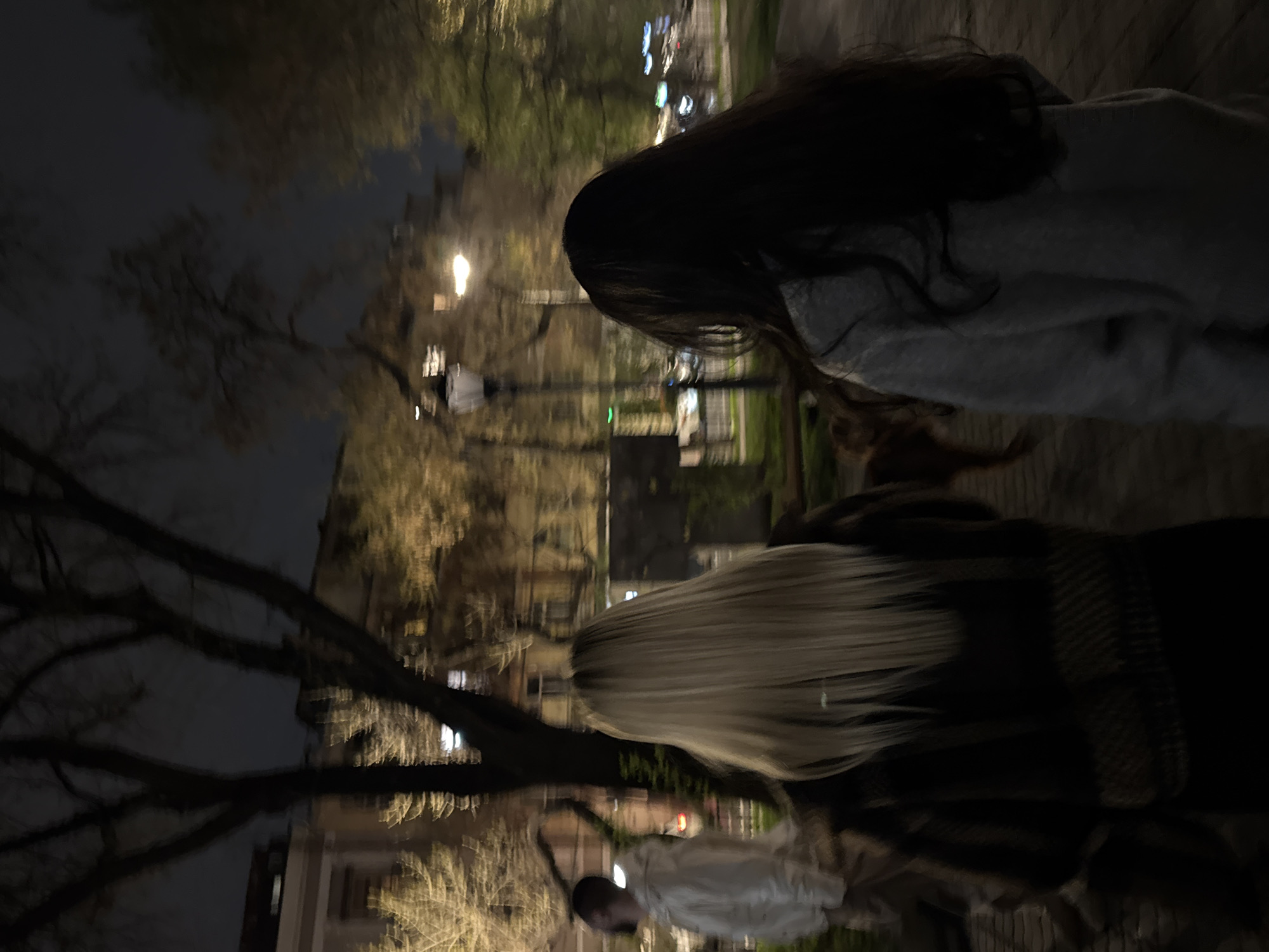 Captured at night in Yerevan, Armenia, the photograph presents two people standing side by side. The first person, positioned on the right, has long, dark hair and is wearing a gray sweater. The second person, located on the left, has long, light-colored hair and is wearing a dark jacket. In the background, there is a tree with bare branches, and a street with streetlights, which illuminate a building. A person is visible in the reflection in the bottom of the image. The overall scene gives the impression of a nighttime urban environment.