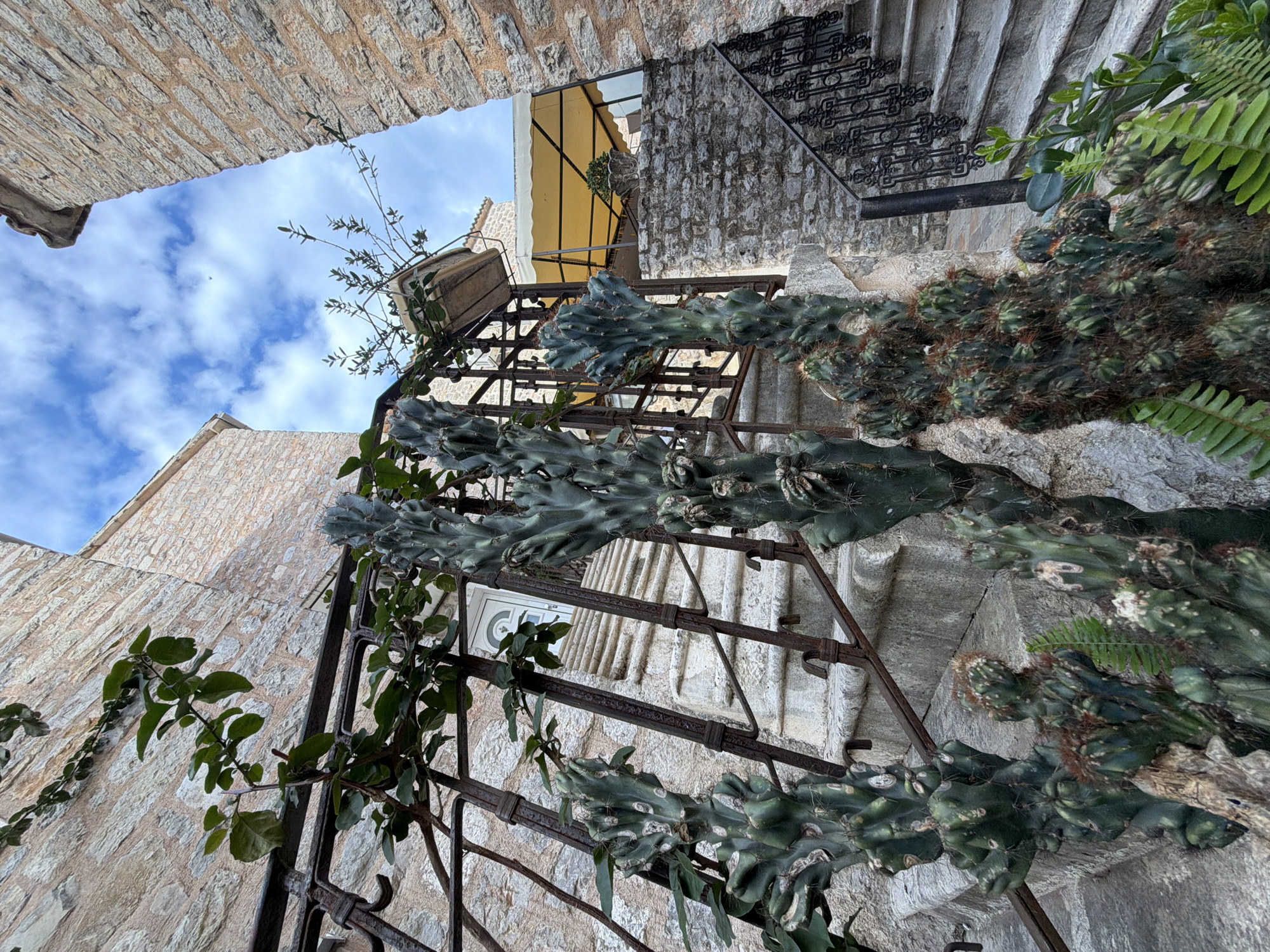 The image, taken in Budva, Montenegro, depicts a narrow alleyway framed by weathered stone buildings. A wrought-iron structure, possibly a decorative fence or trellis, is affixed to one wall and is covered in various plants, including a large cactus and leafy vines. A potted plant sits atop the structure. Above, the sky is partially visible through the buildings, showing blue sky and white clouds. A partially visible yellow awning is suspended from a building across the alley. A stone staircase with a decorative iron railing is visible in the upper right of the image.